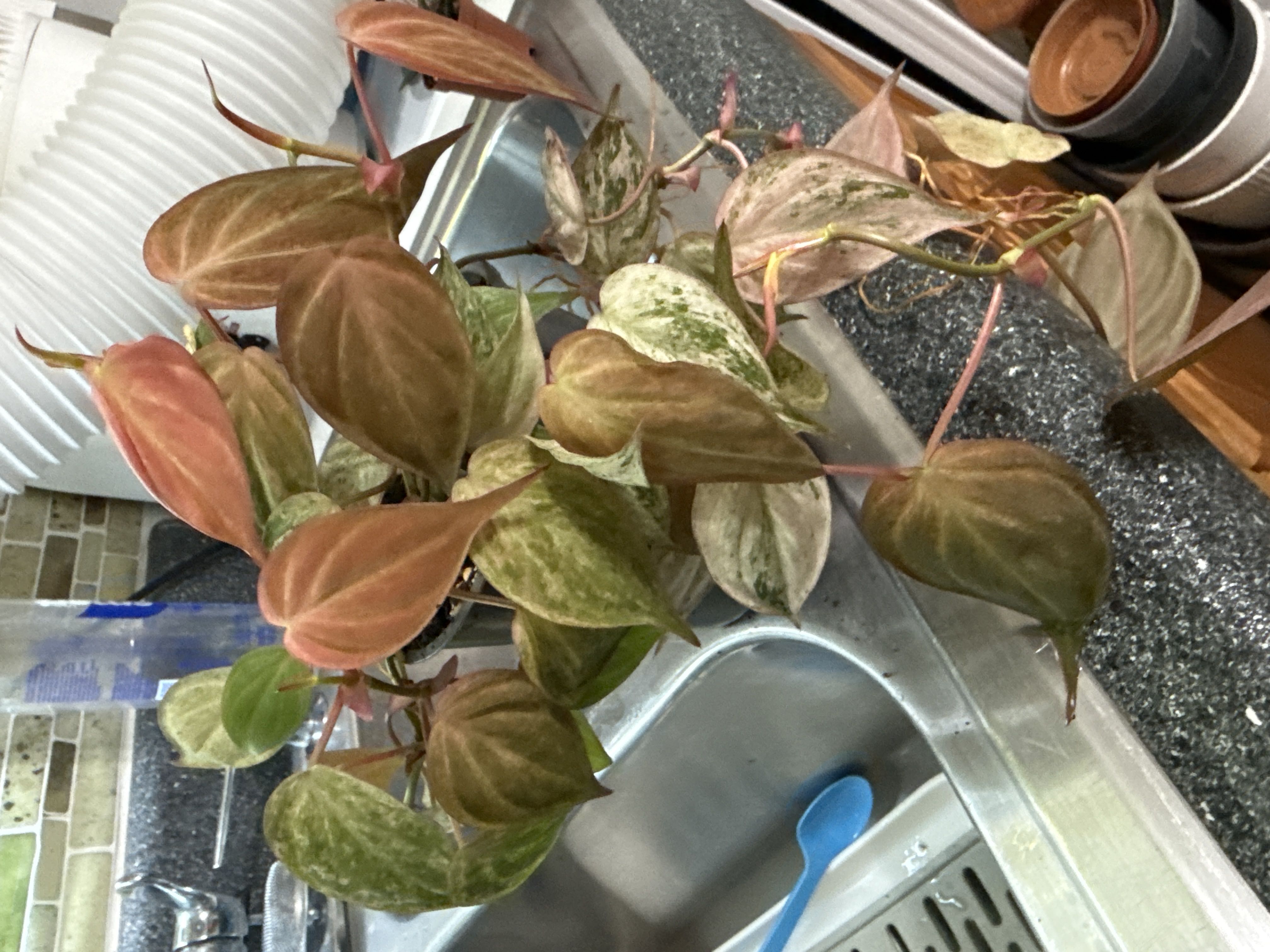 Photo from the post