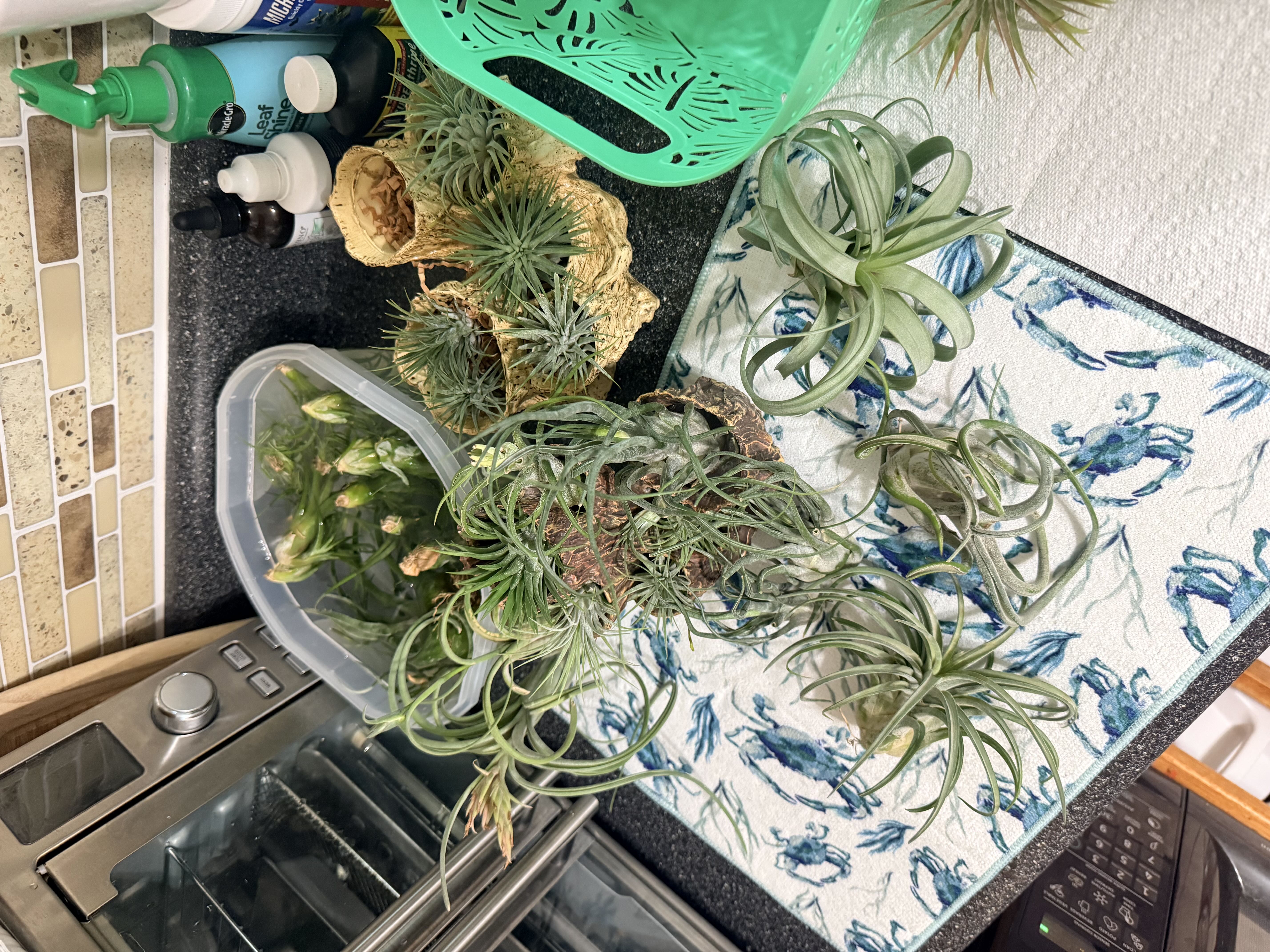 Photo from the post