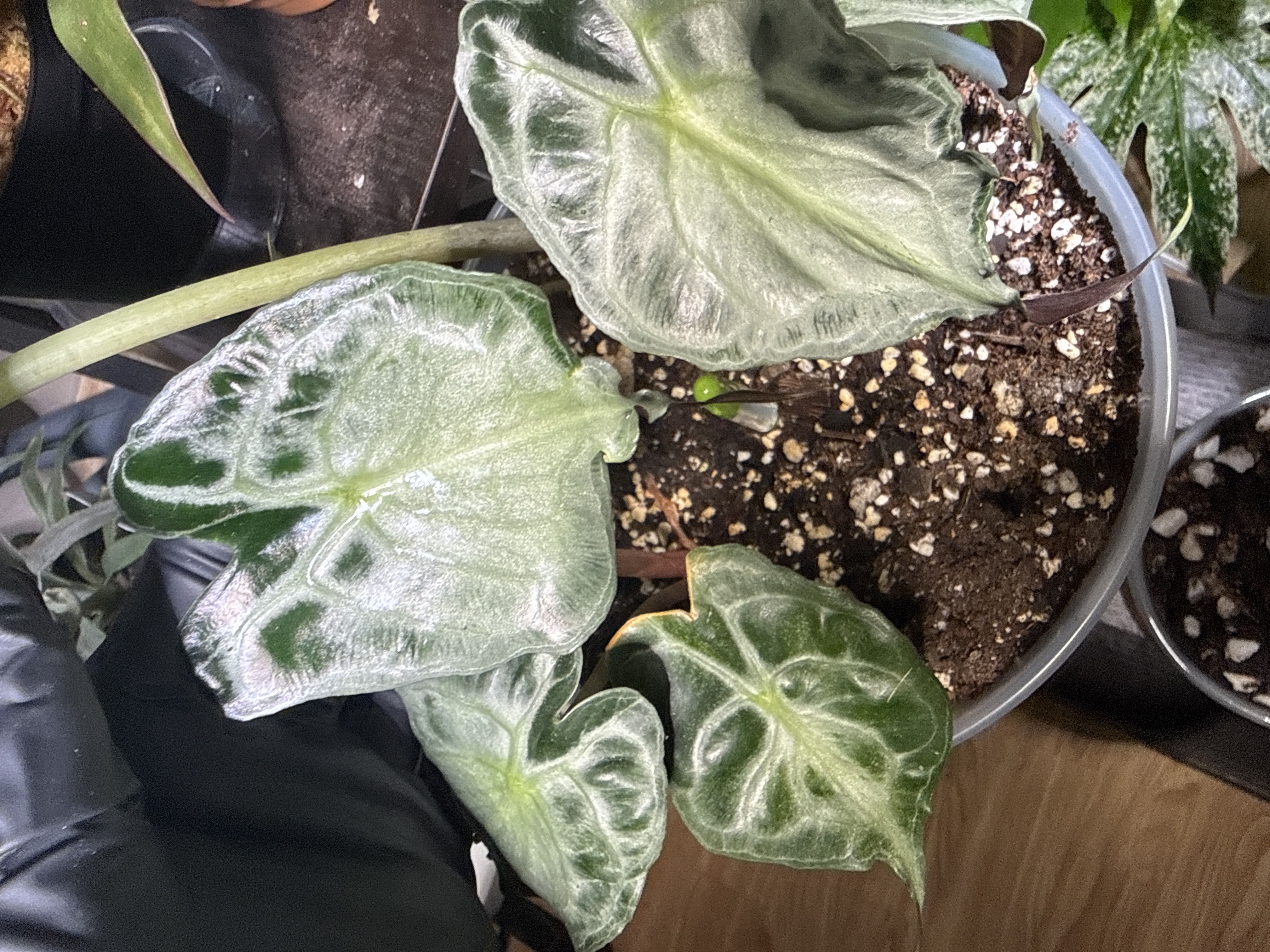 Photo from the post