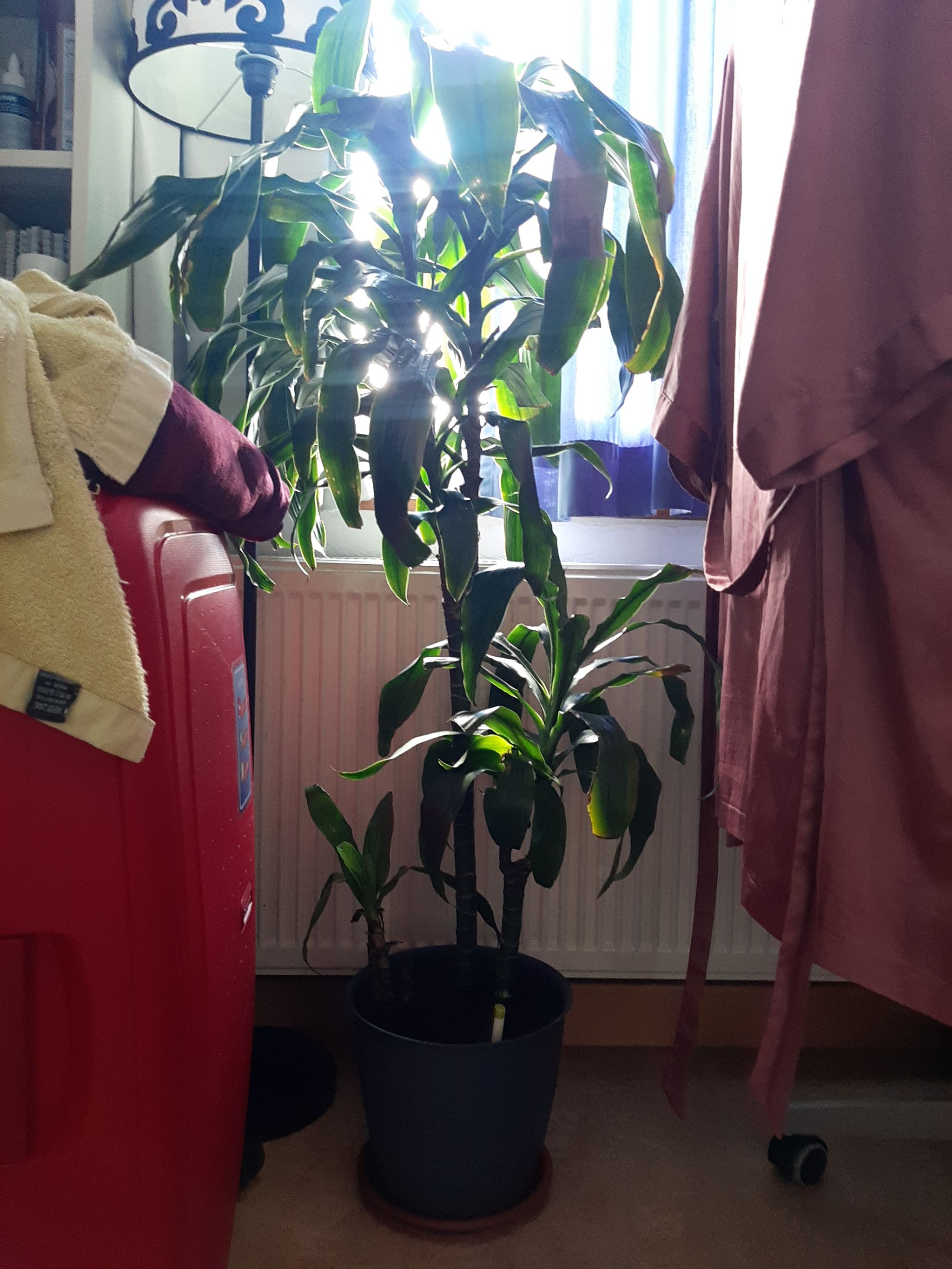 Photo from the post