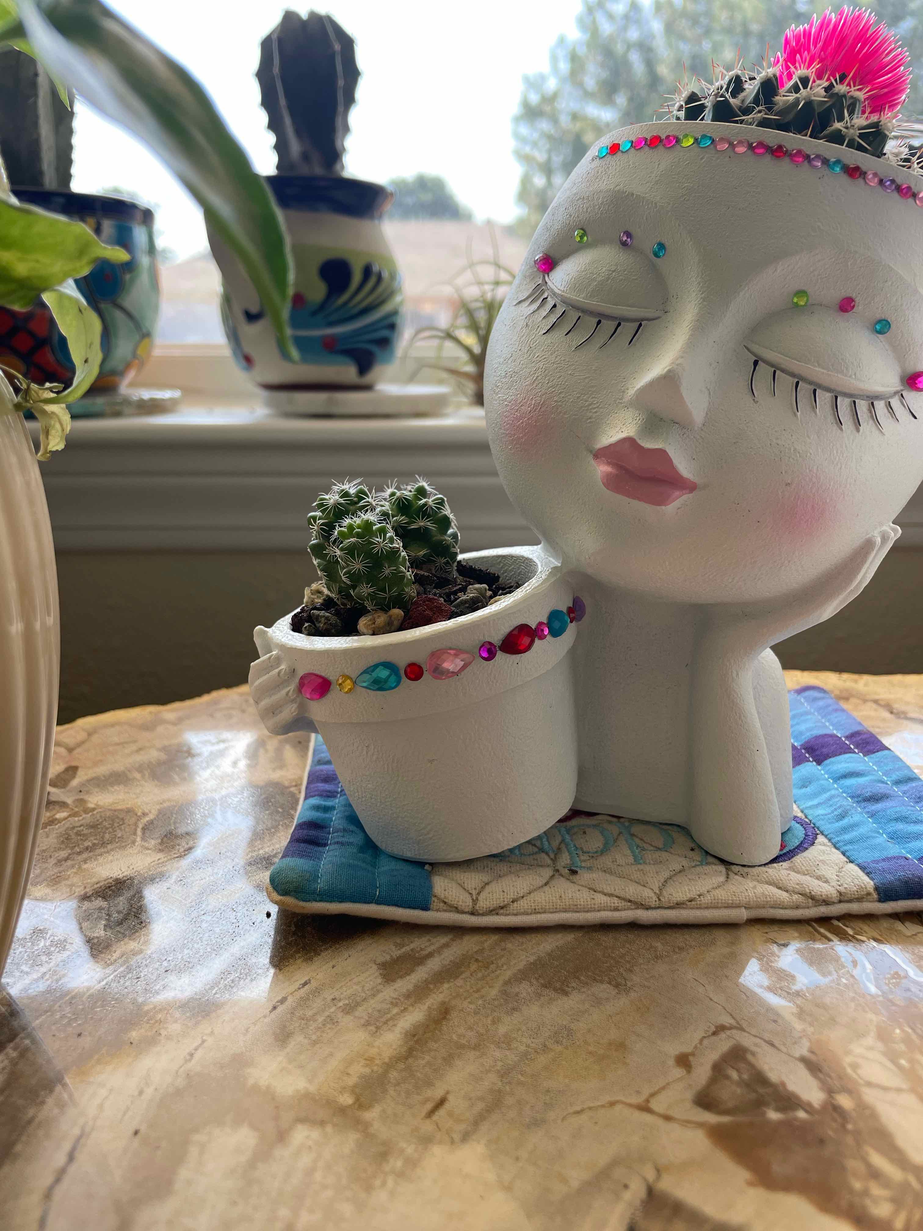 Photo of the plant species arizona snowcap by @ChelleMiCorGenX named Demi on Greg, the plant care app