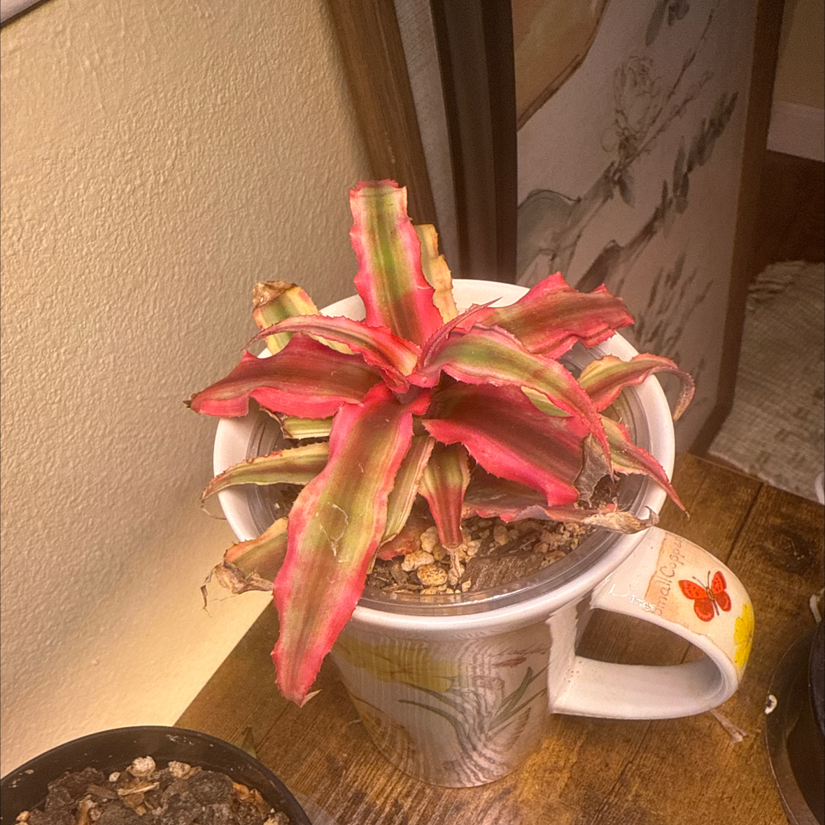 Ruby