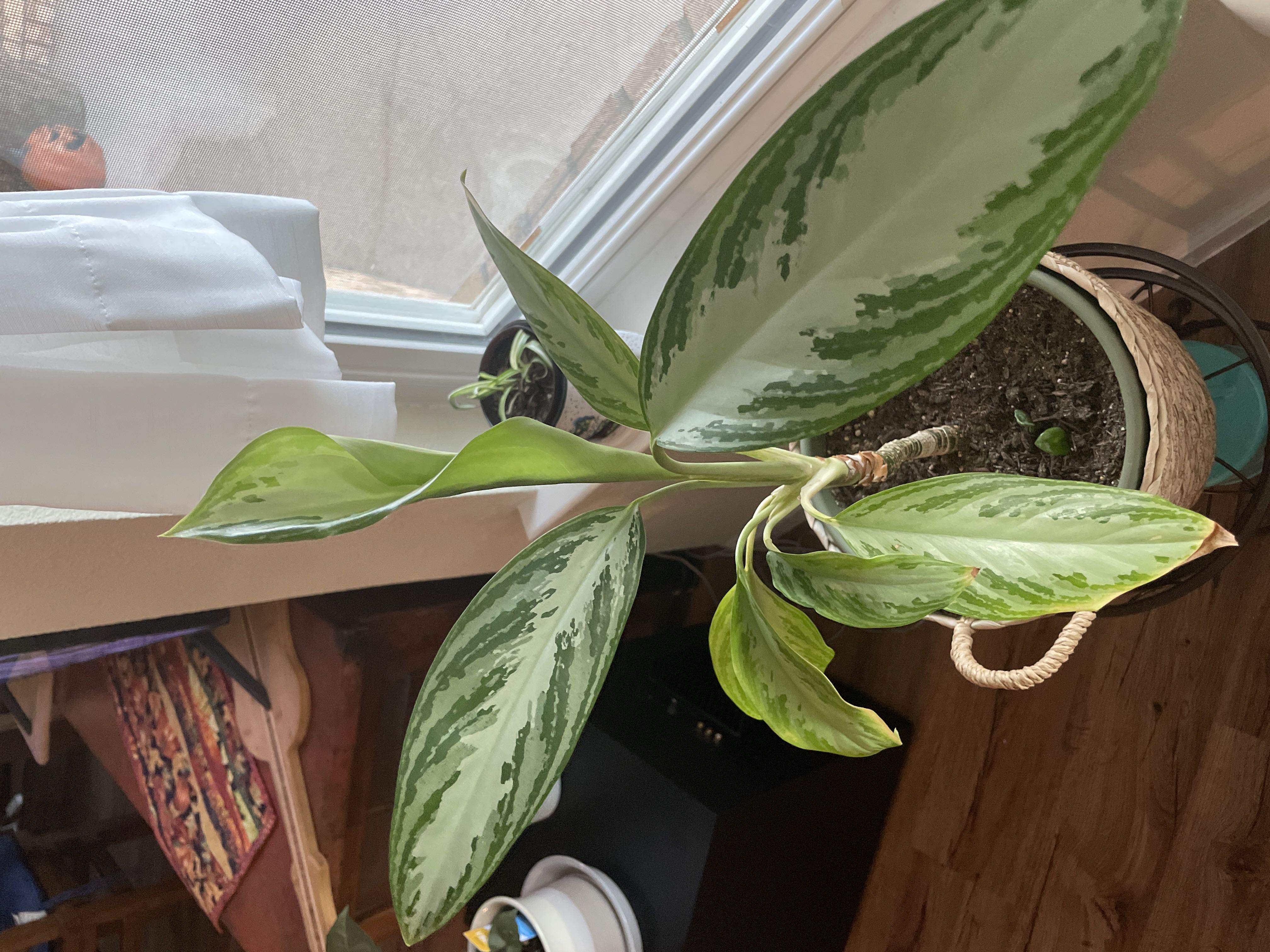 Photo from the post