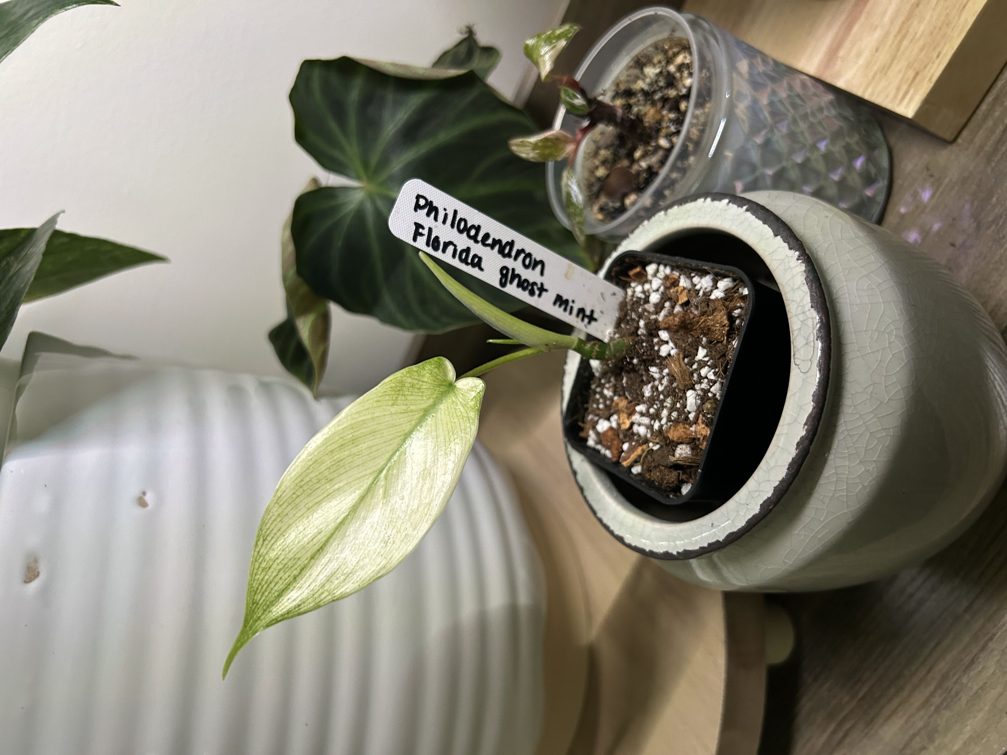 Photo from the post