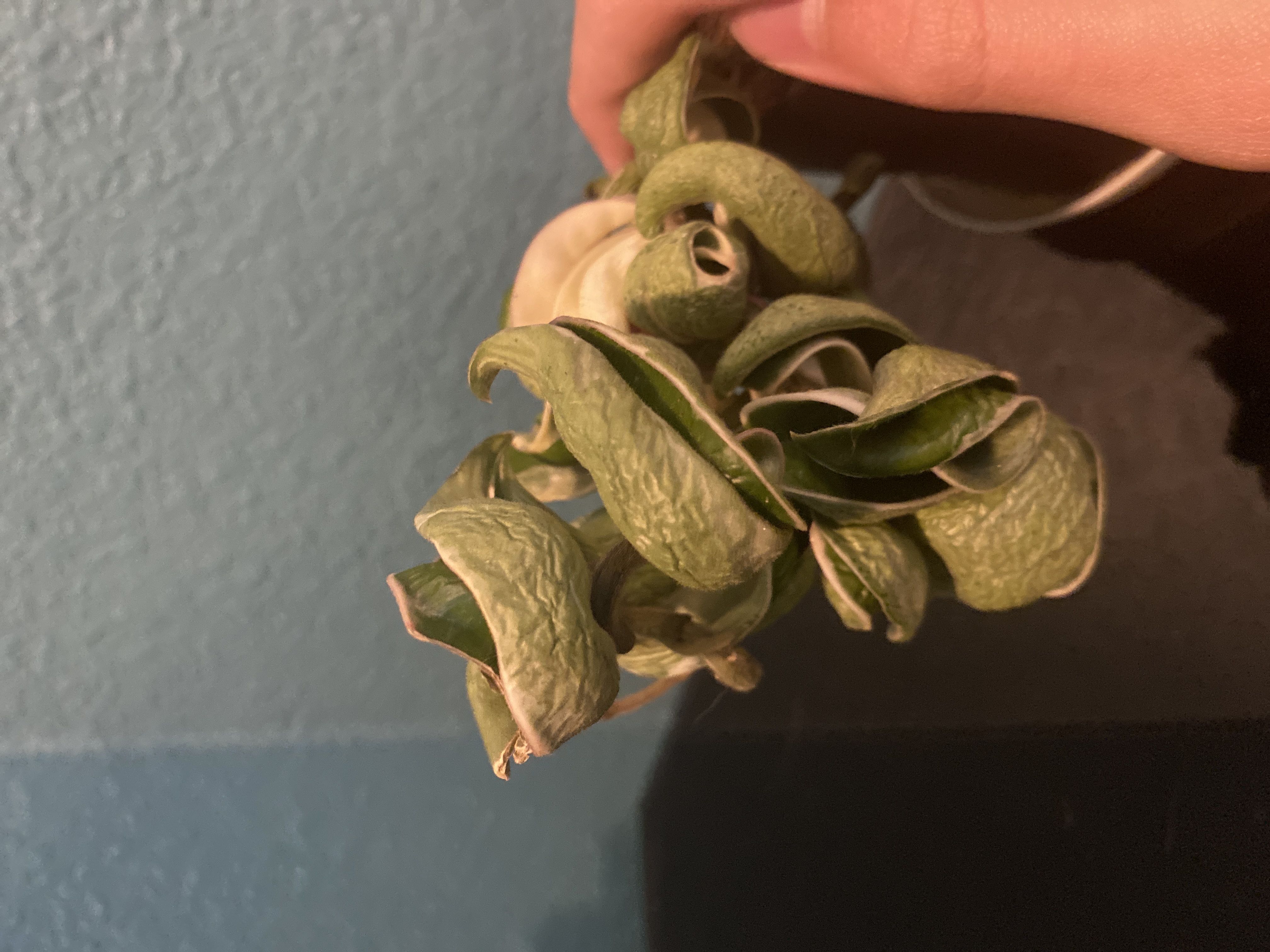 Photo from the post