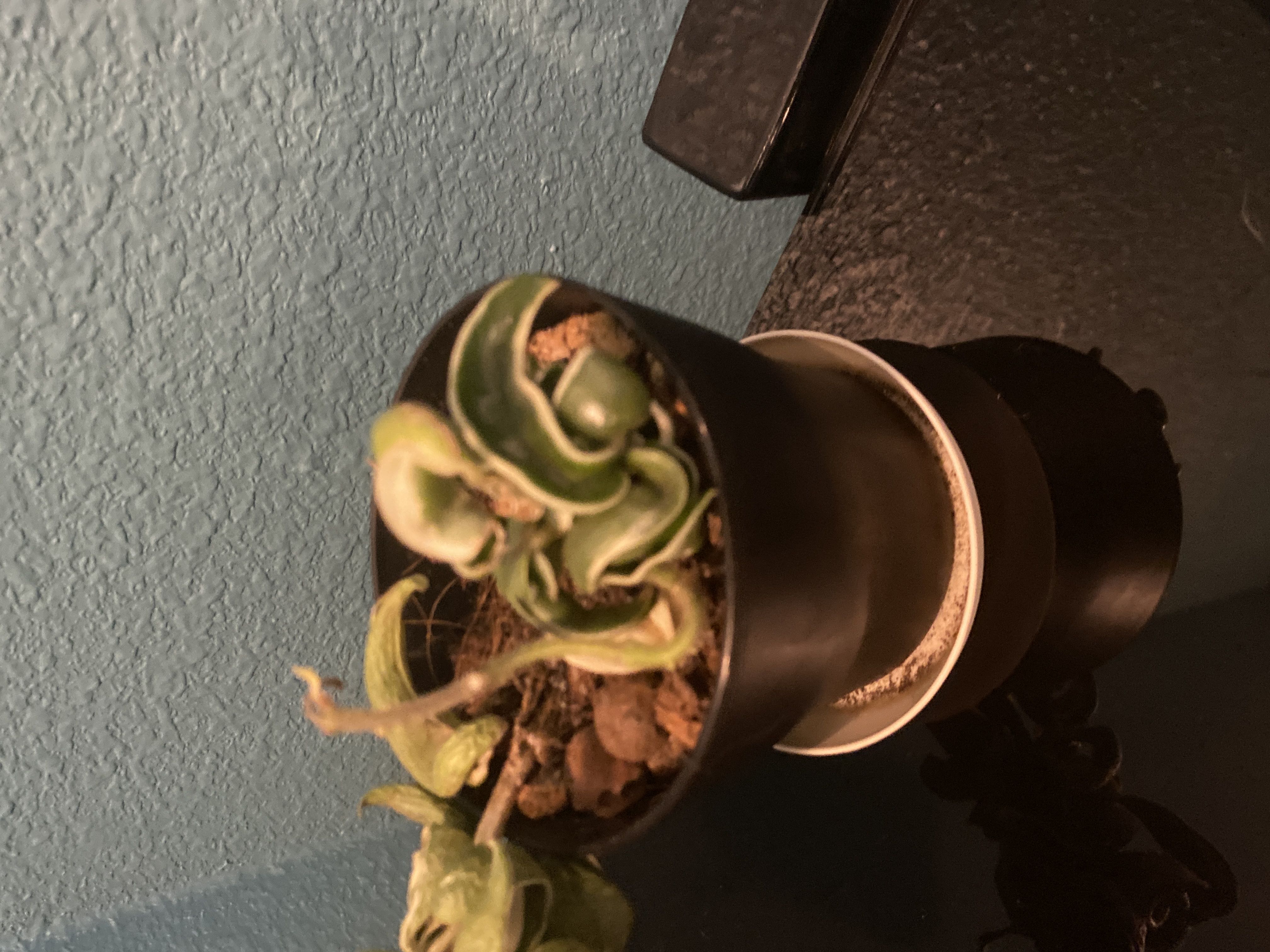 Photo from the post