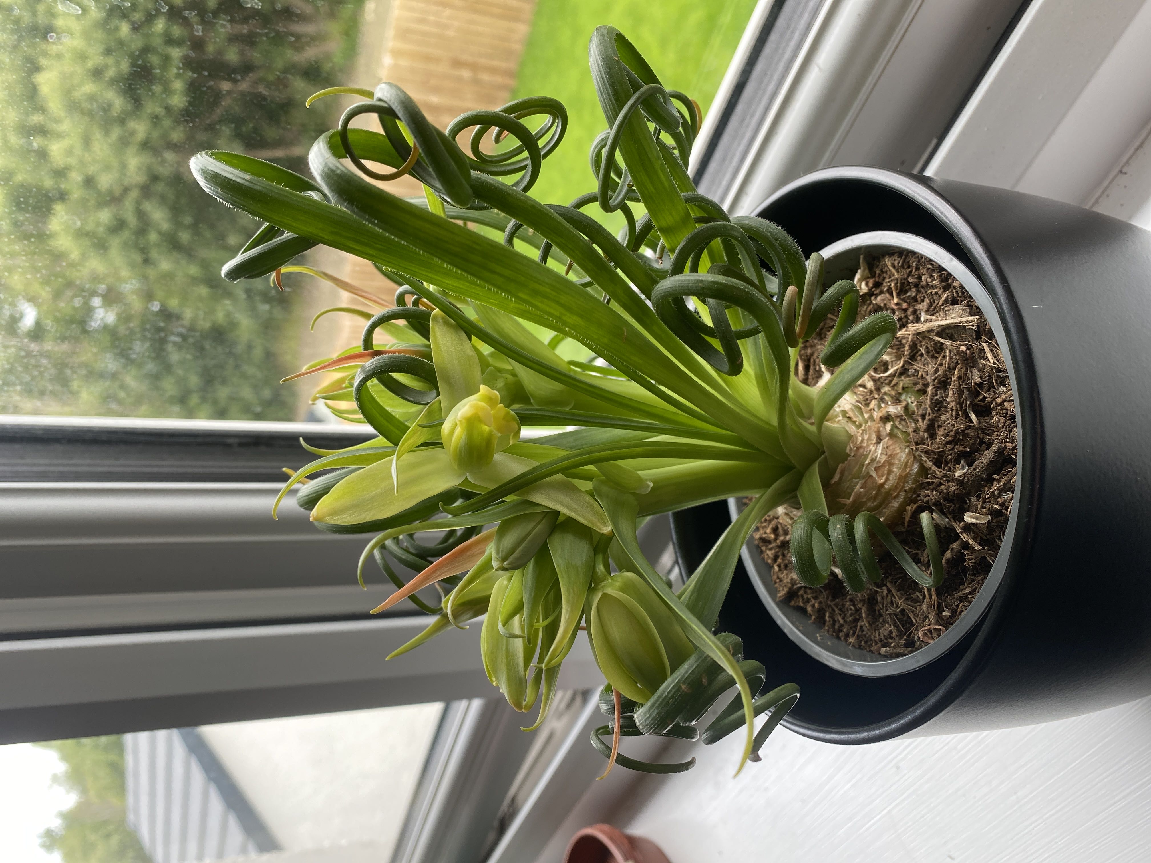 Photo from the post