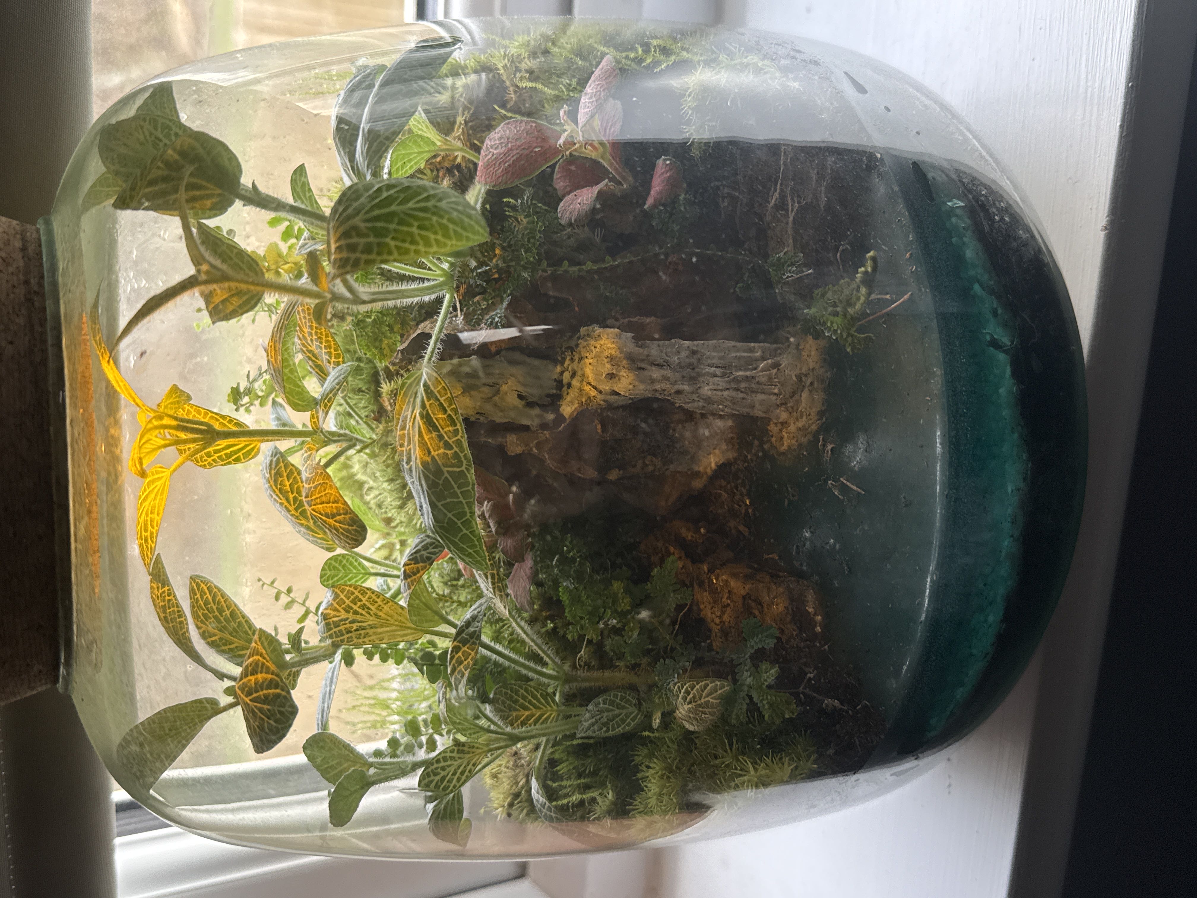 Photo from the post