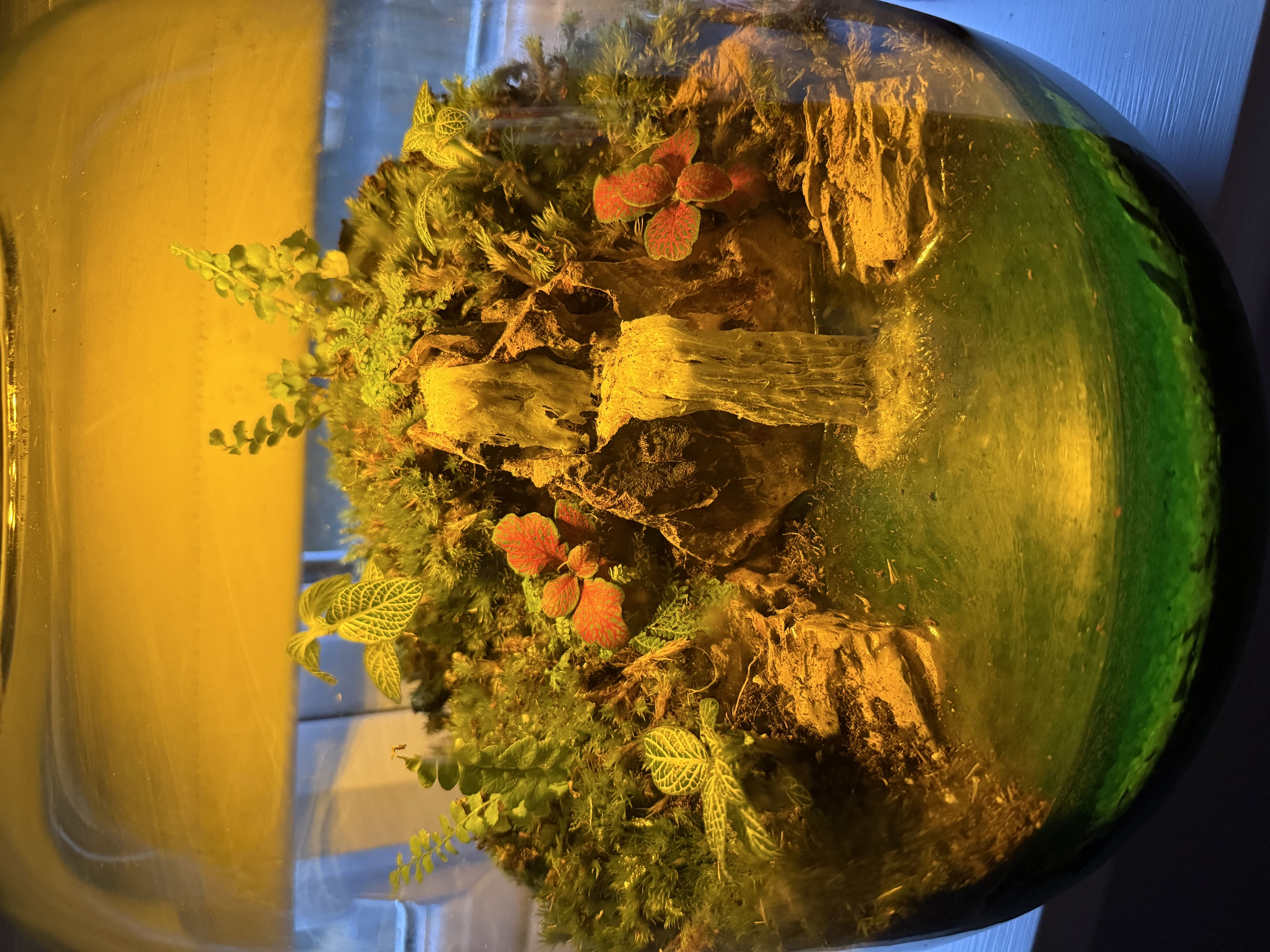 Photo from the post