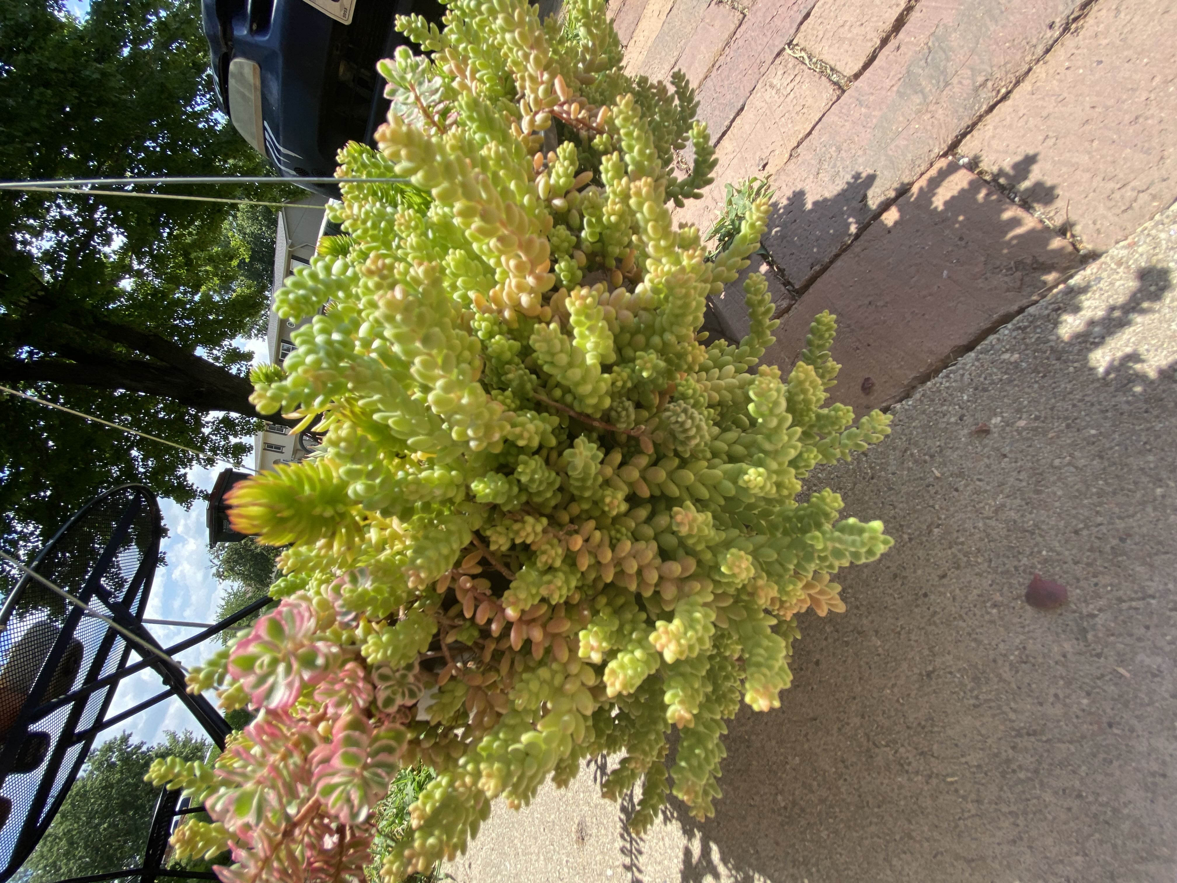 Photo from the post