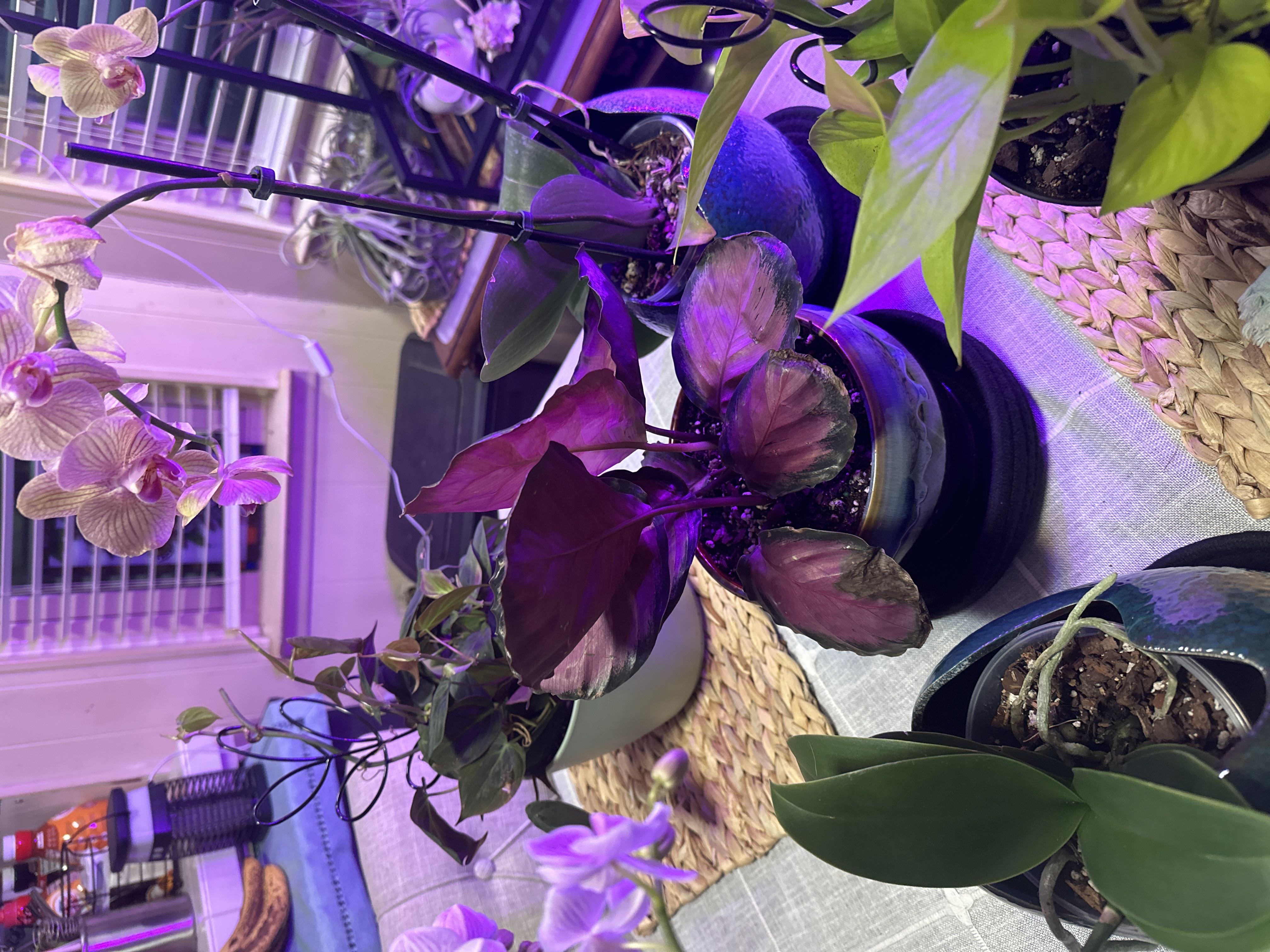 Photo from the post