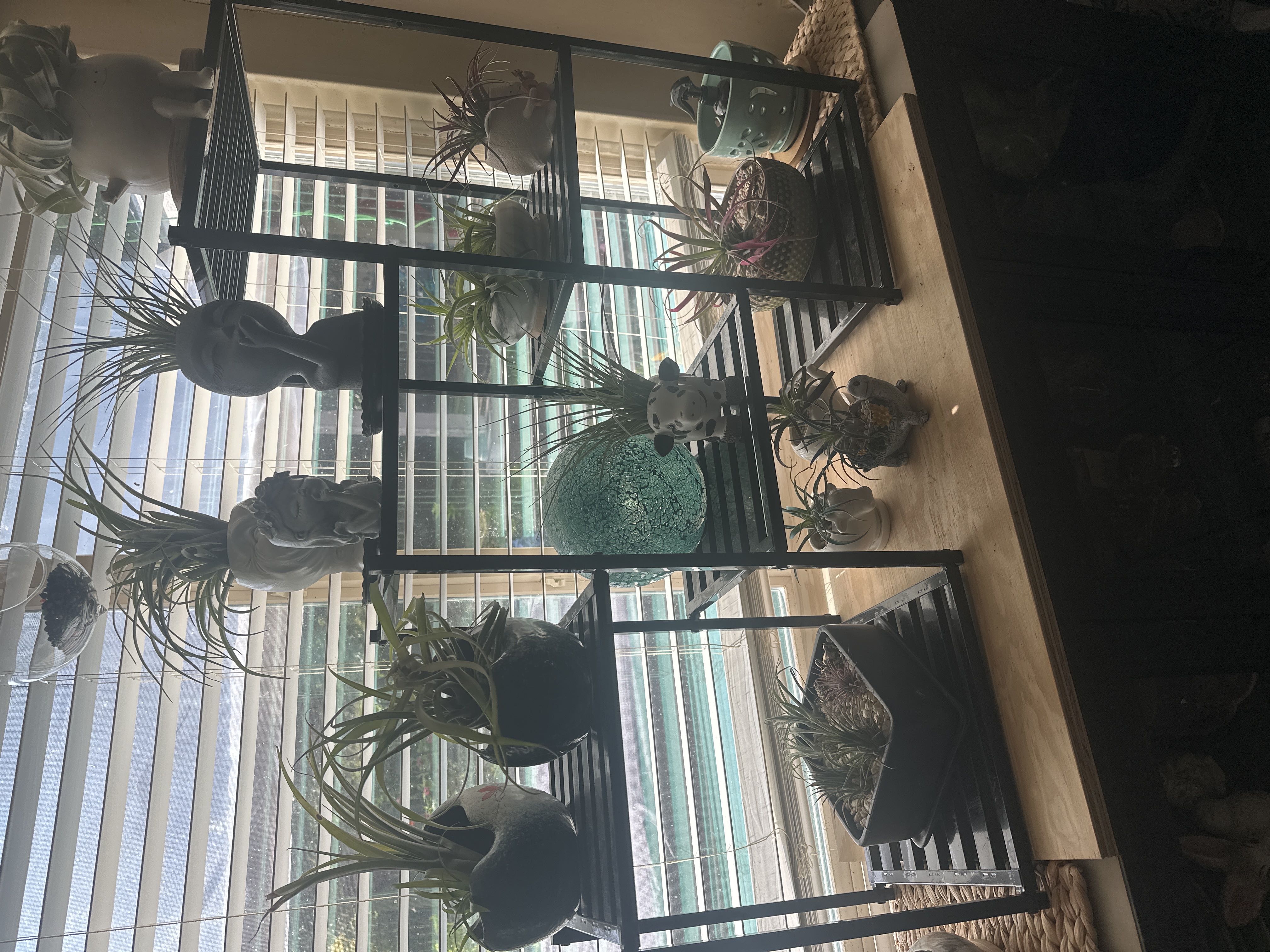 Photo from the post