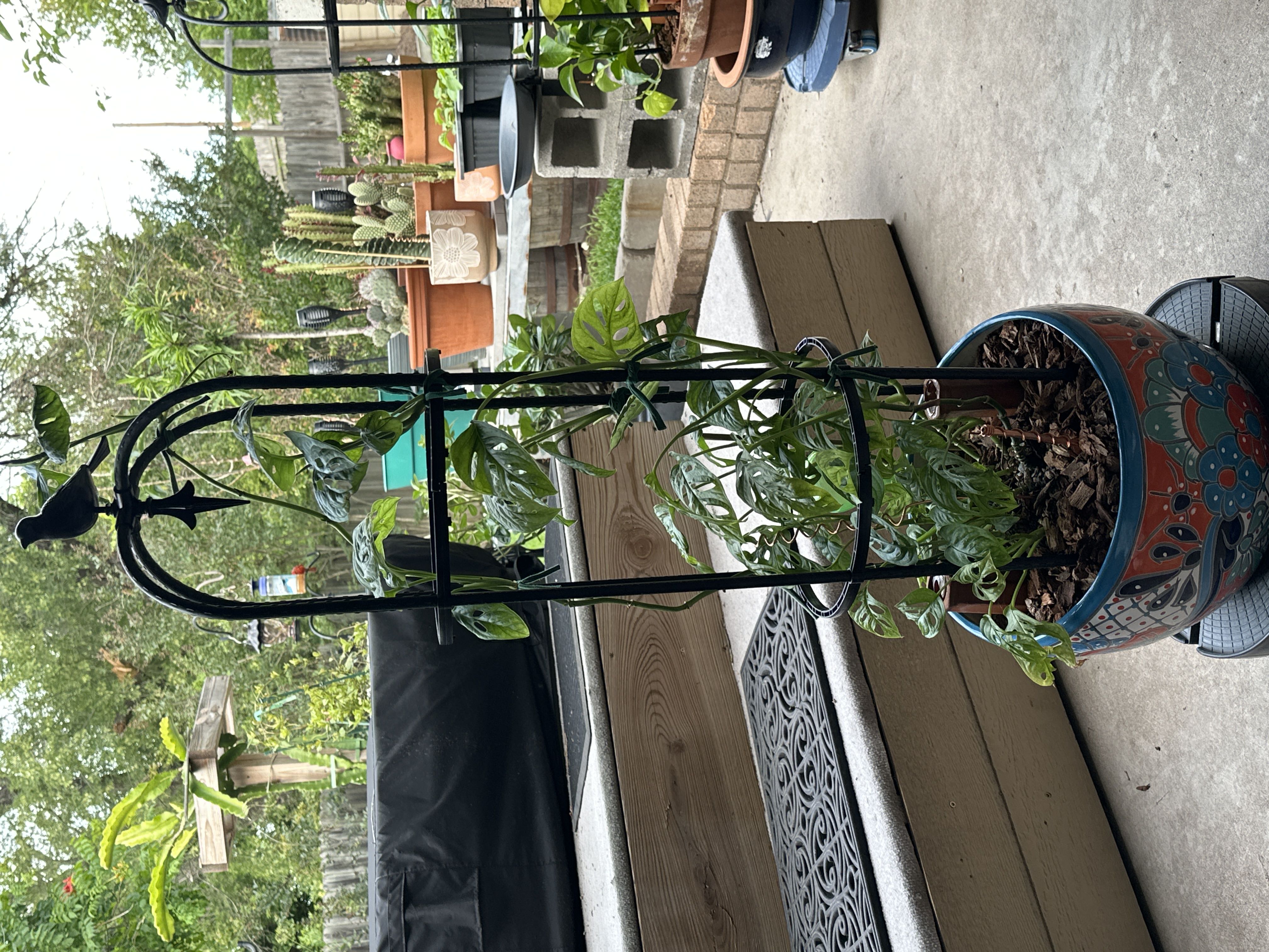 Photo from the post