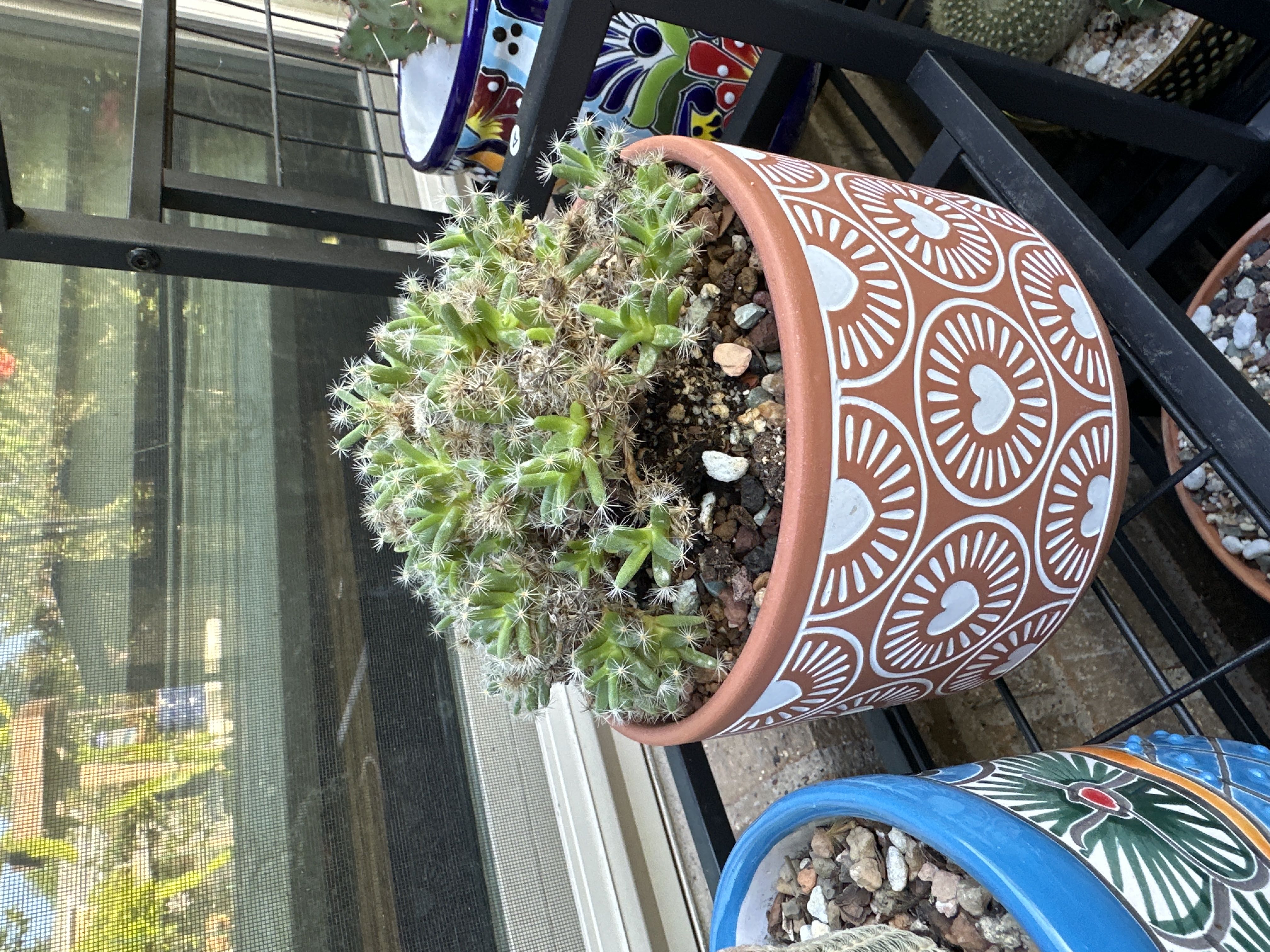 Photo from the post