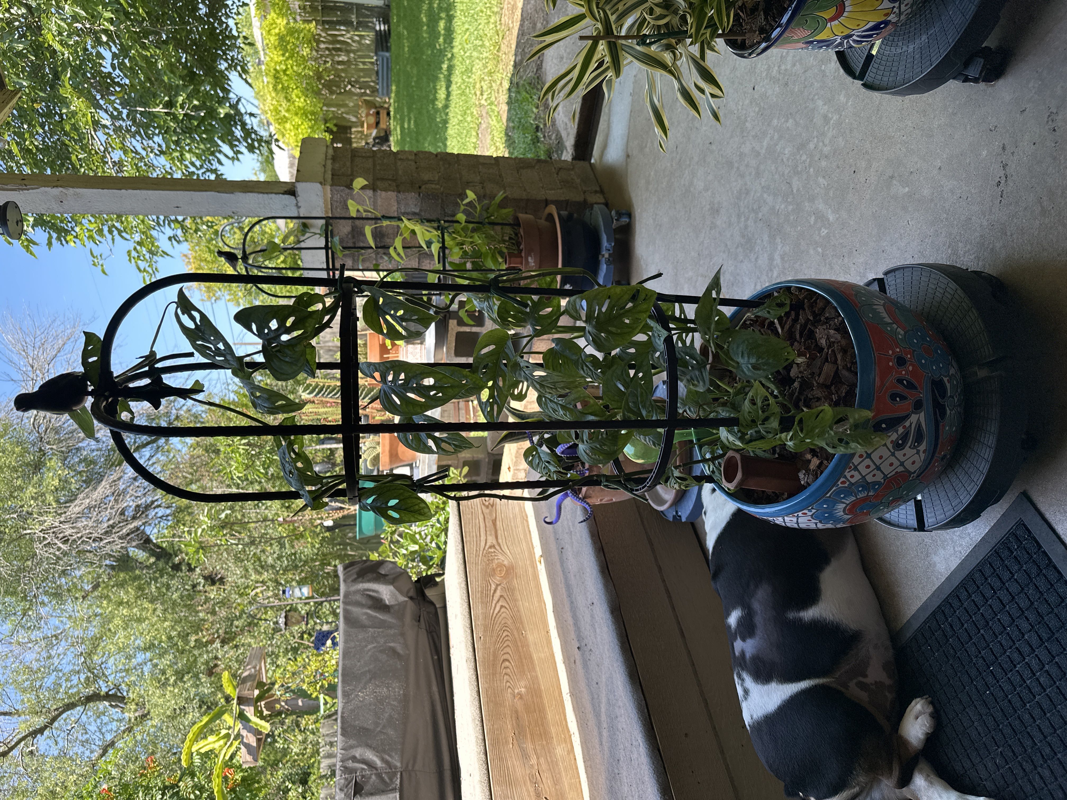 Photo from the post