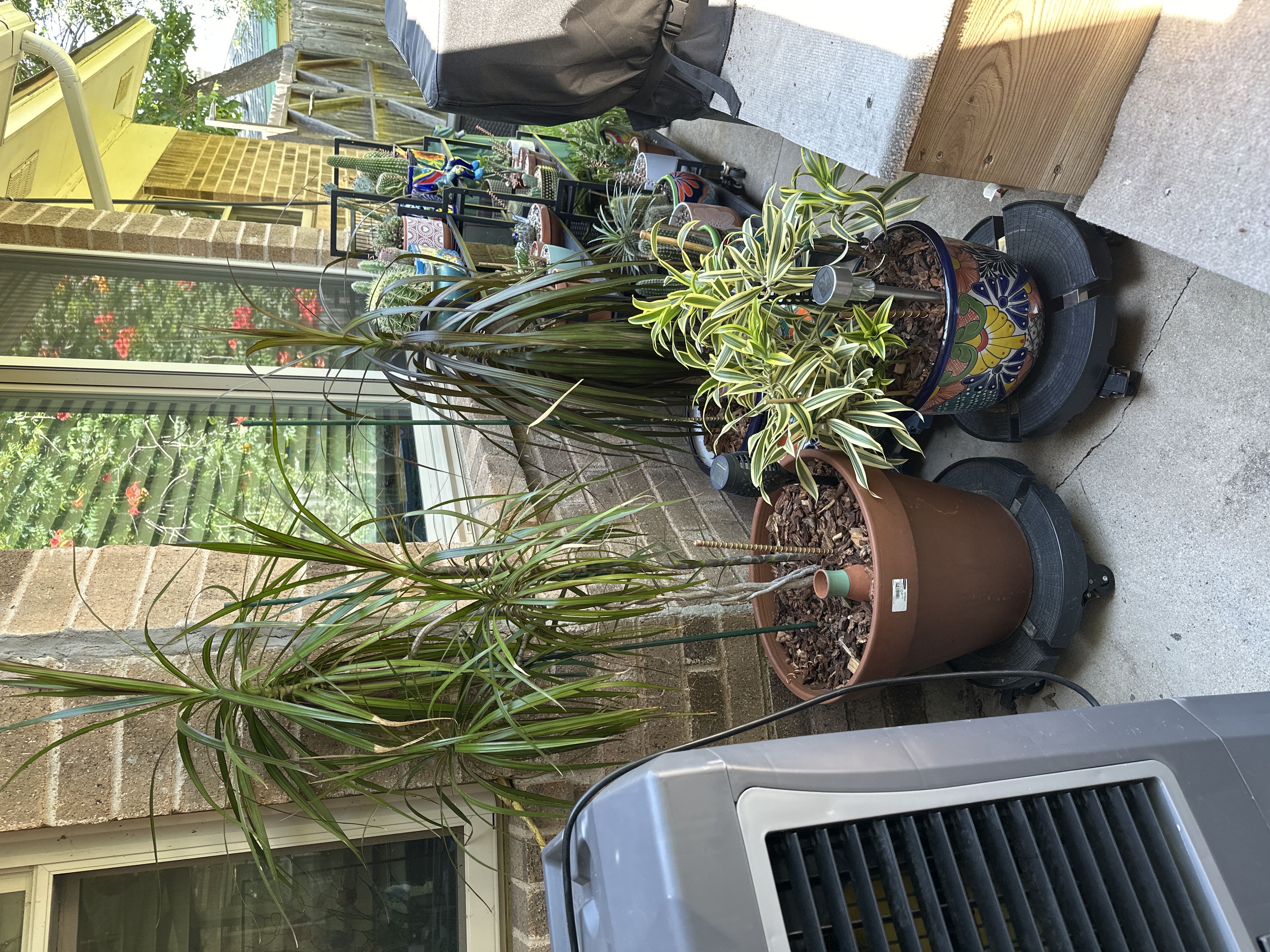 Photo from the post