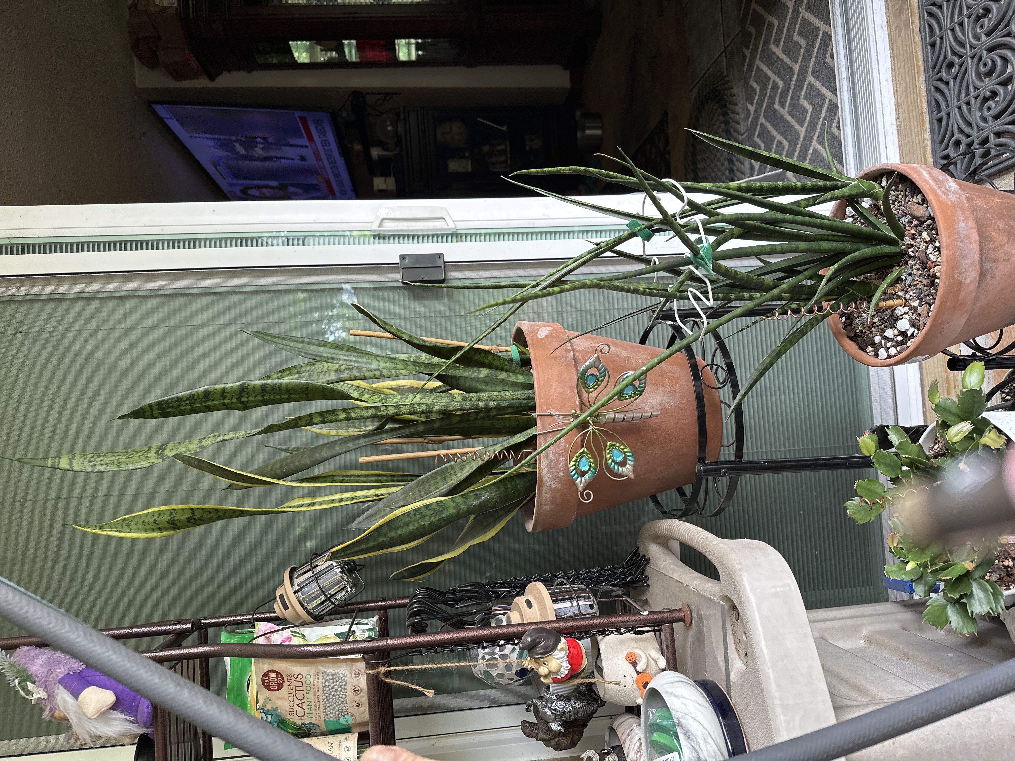 Photo from the post