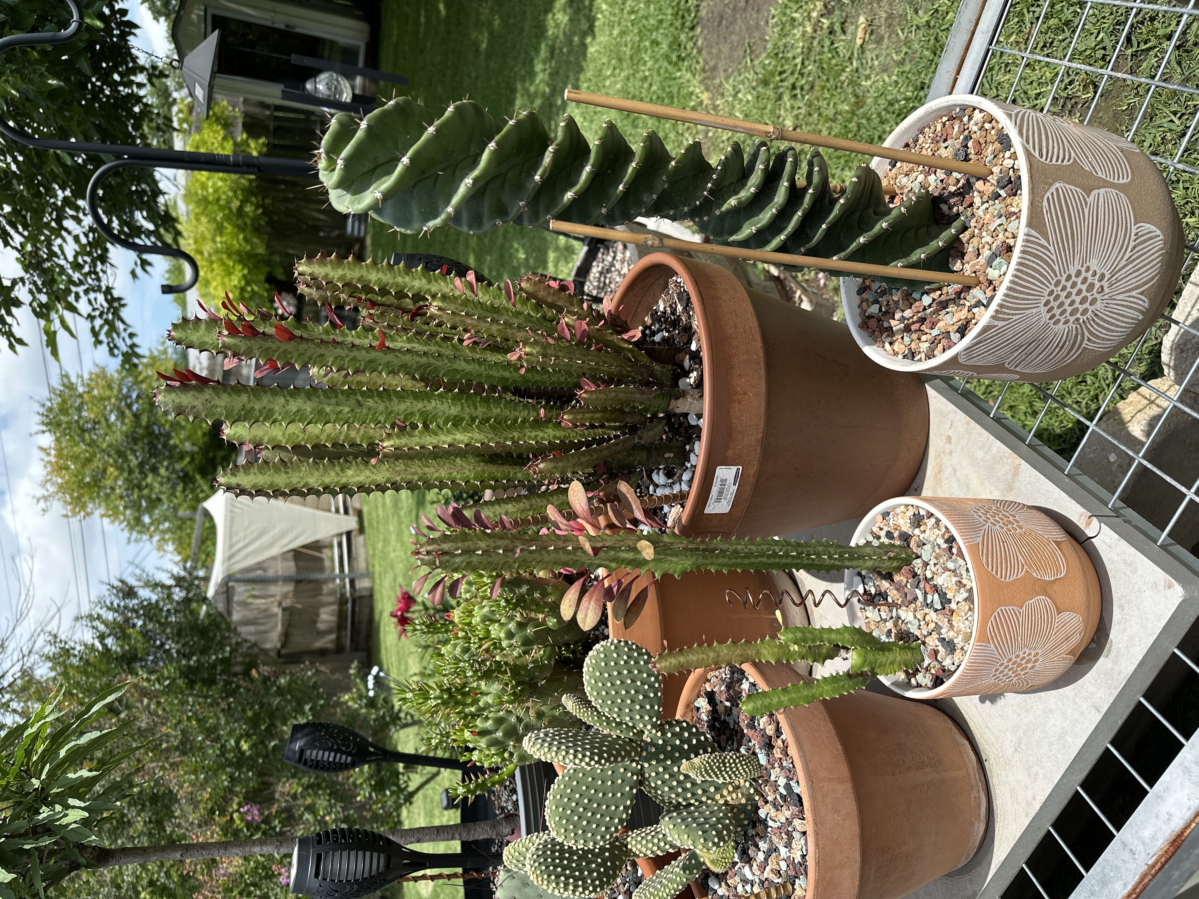 Photo from the post