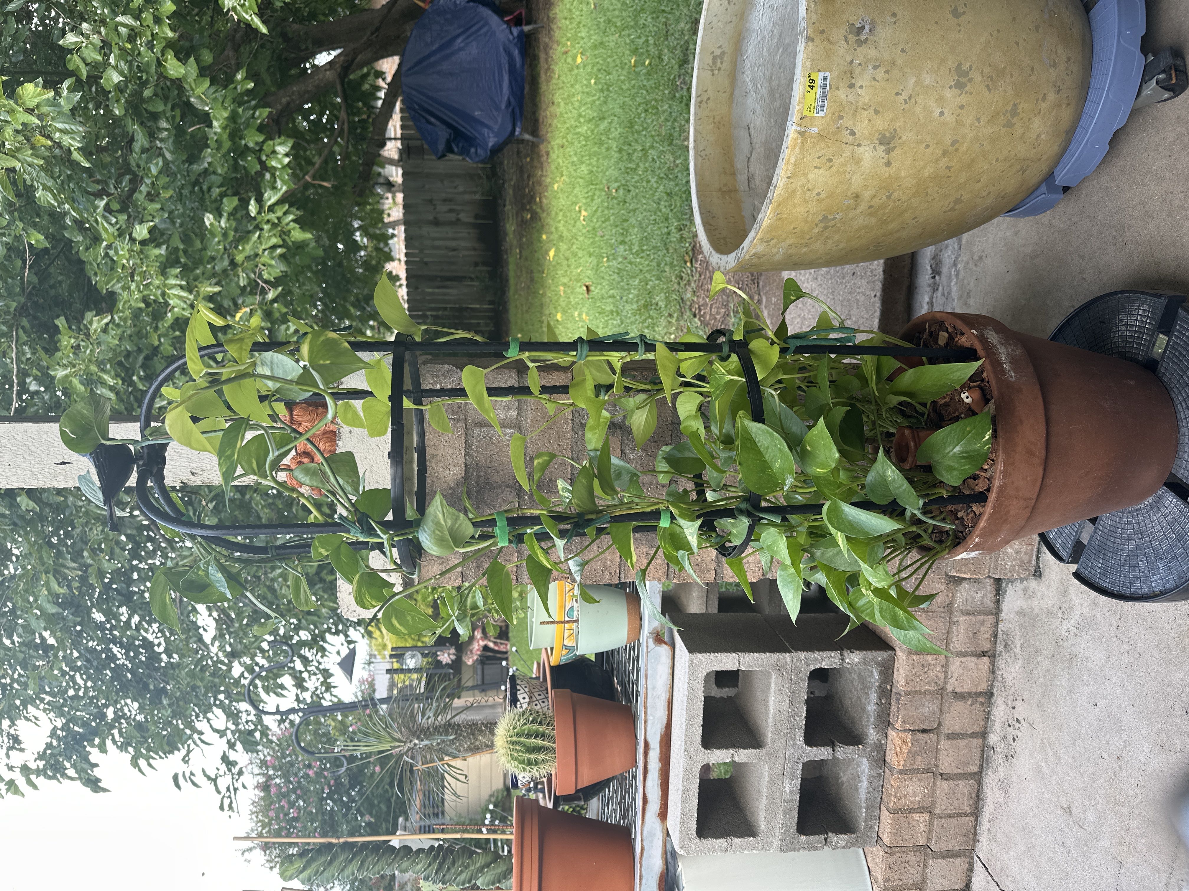 Photo from the post