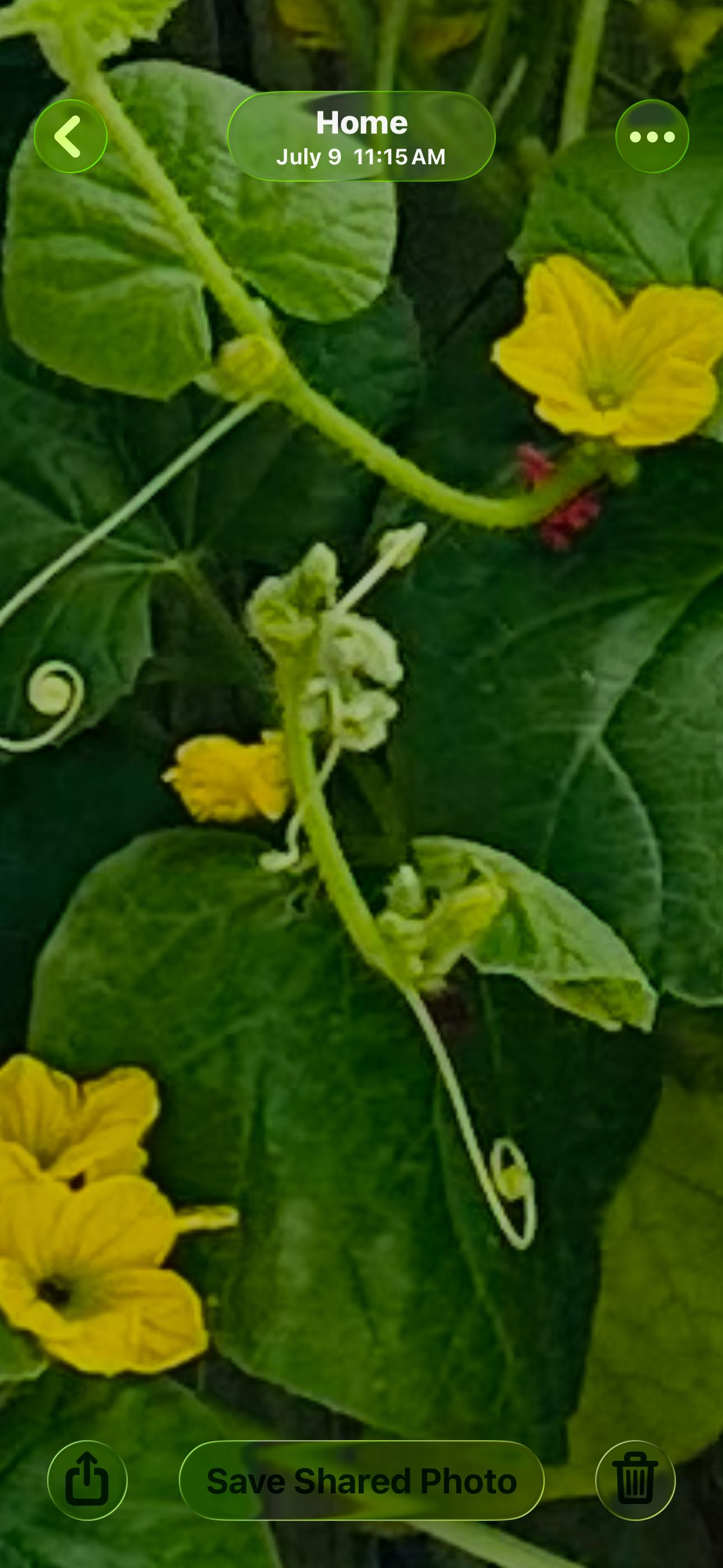 Photo from the post