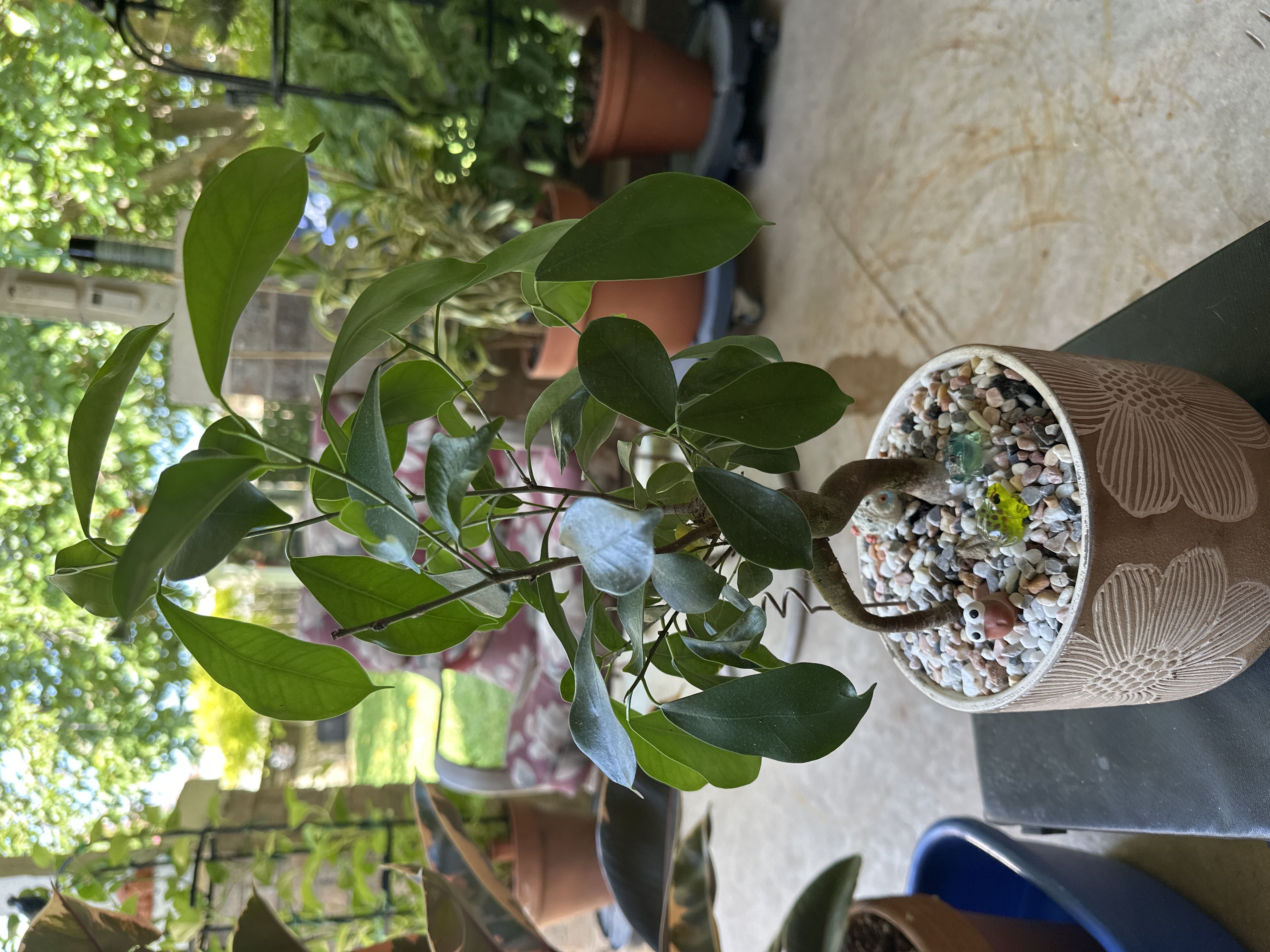 Photo from the post