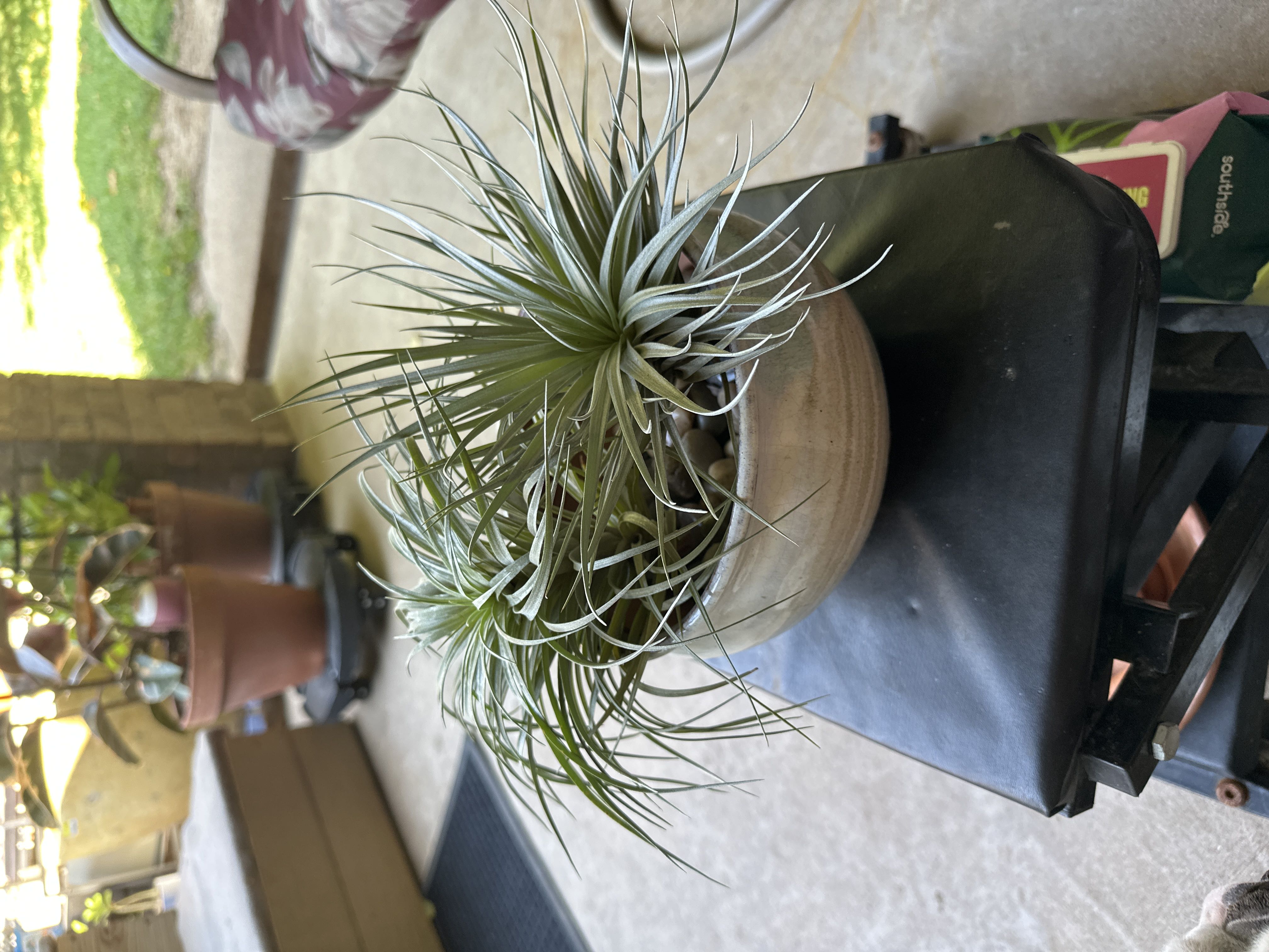 Photo from the post