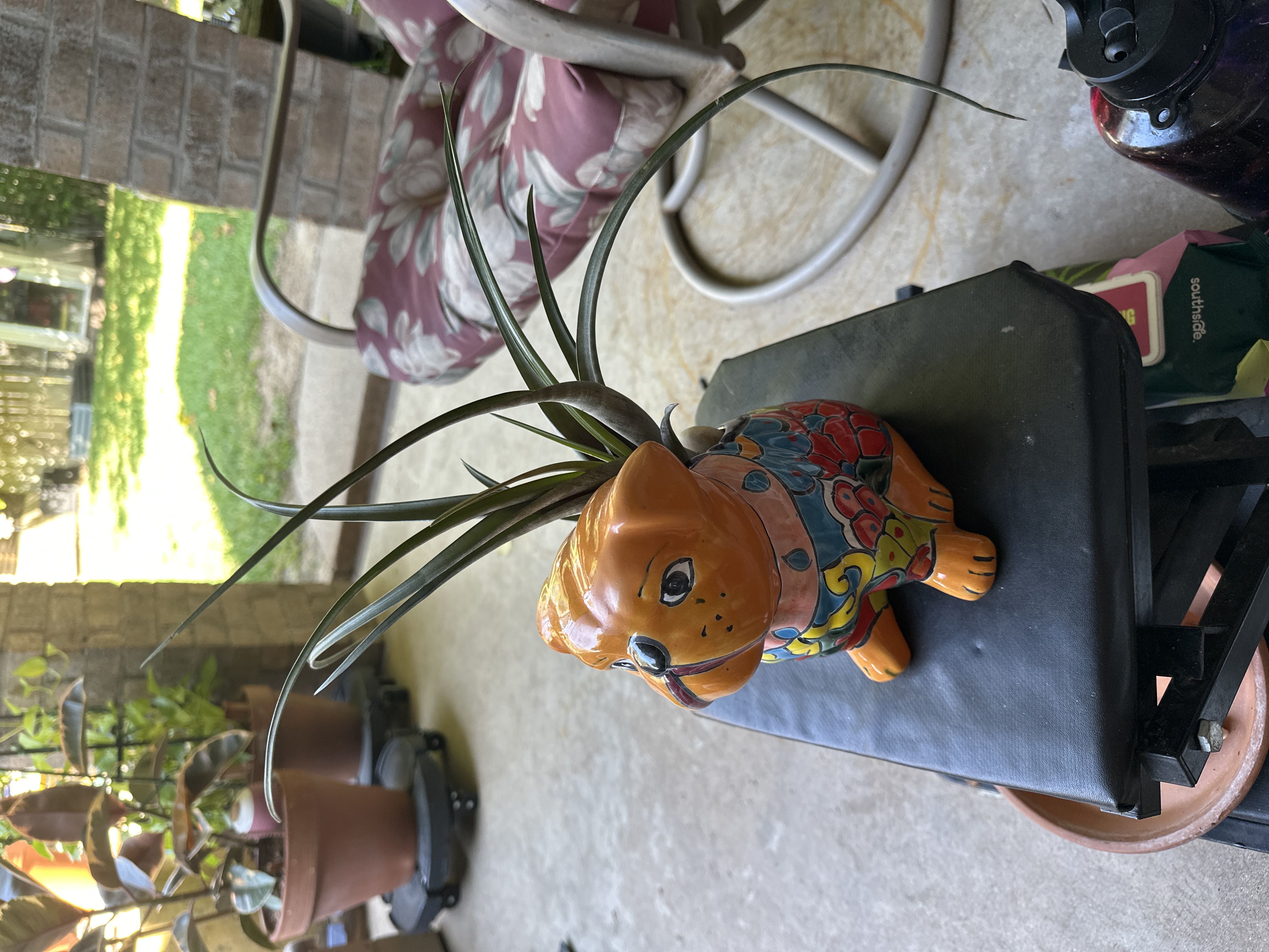 Photo from the post