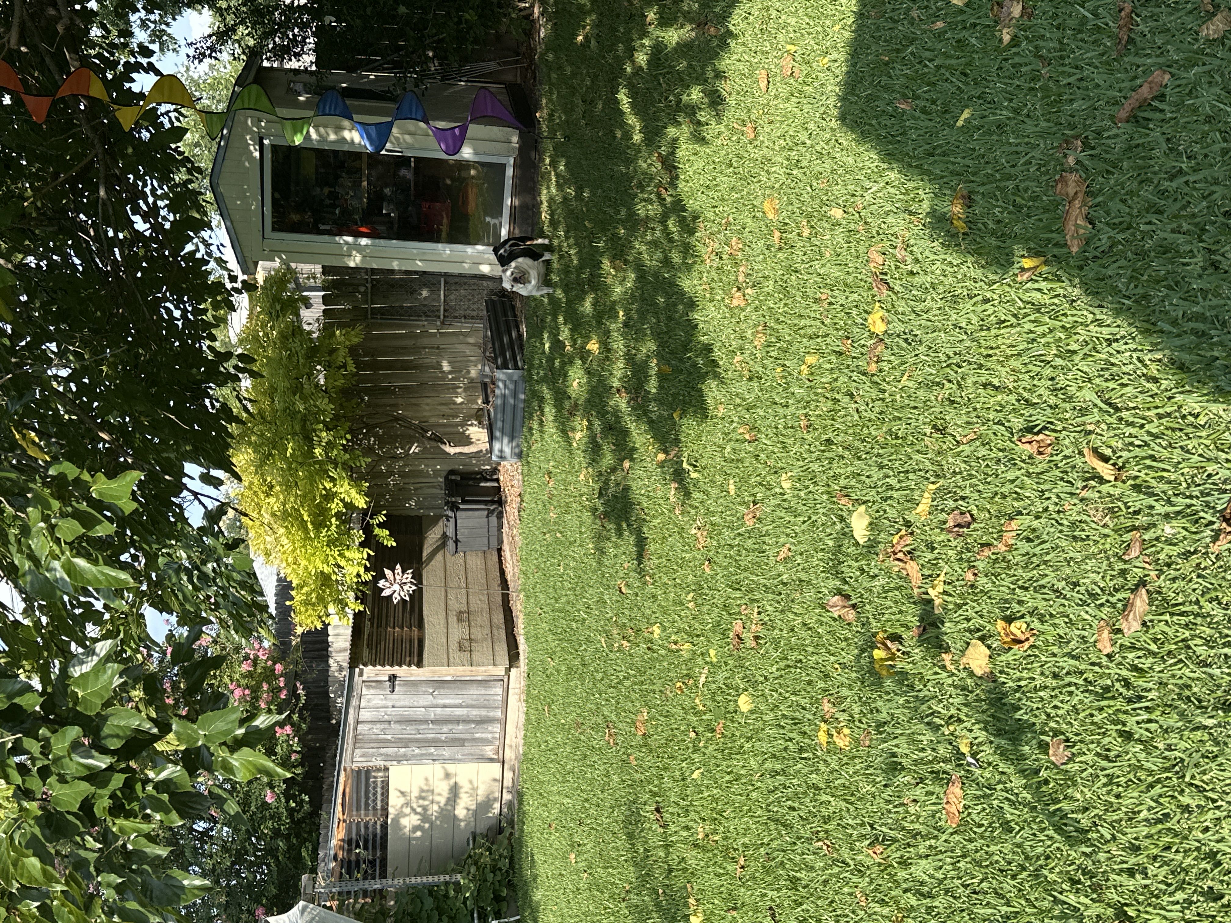 Photo from the post