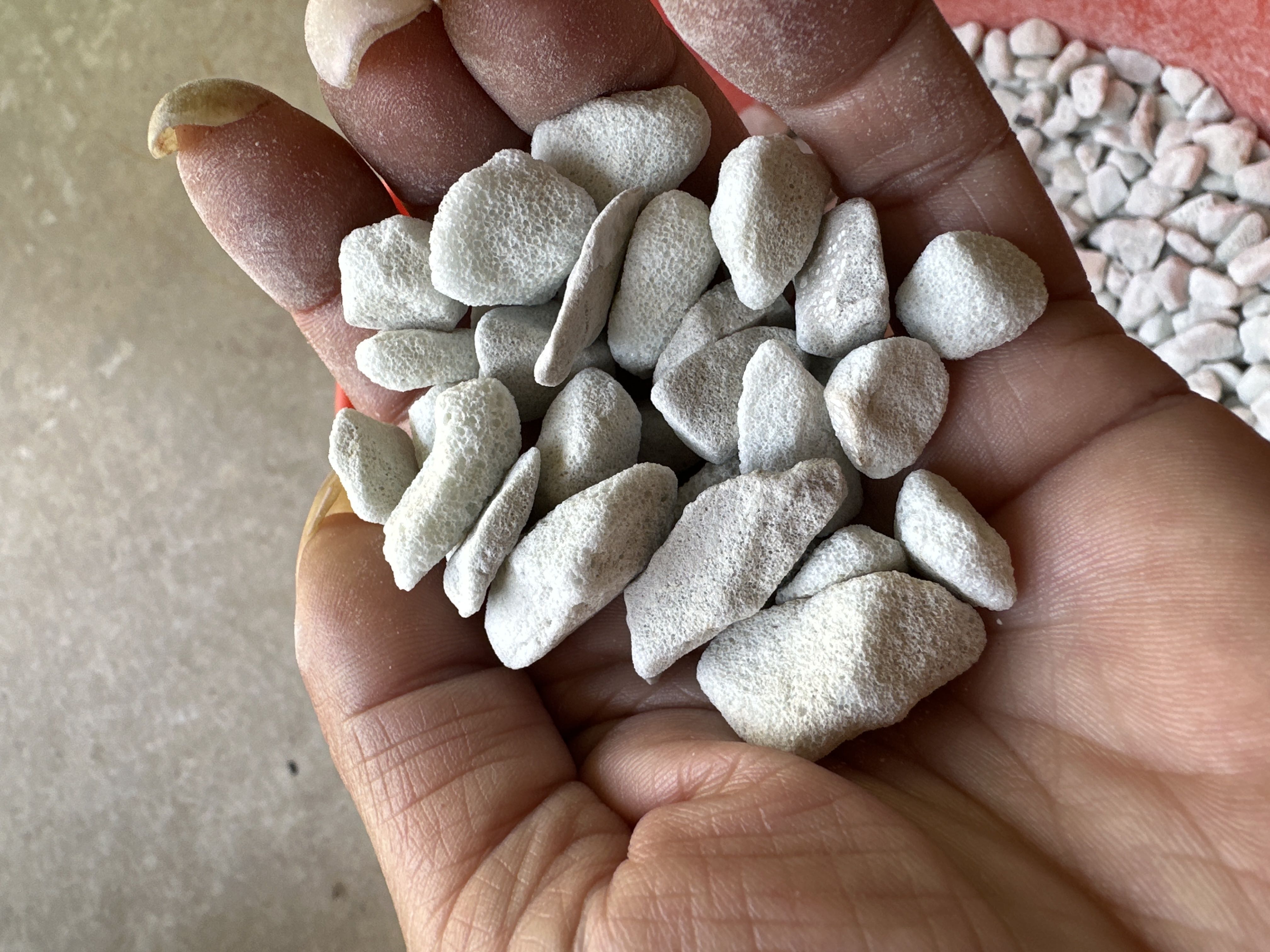 Photo from the post