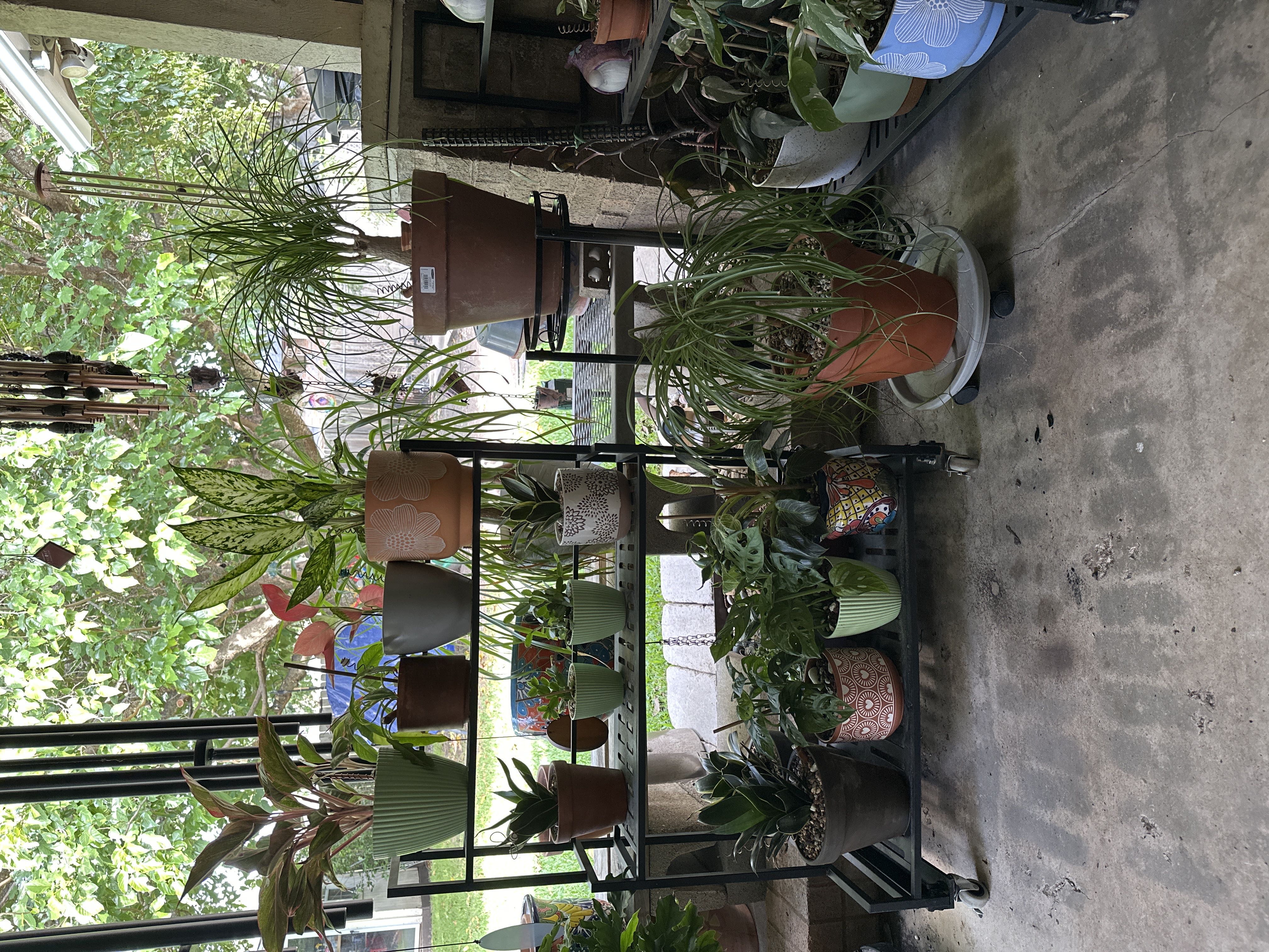 Photo from the post