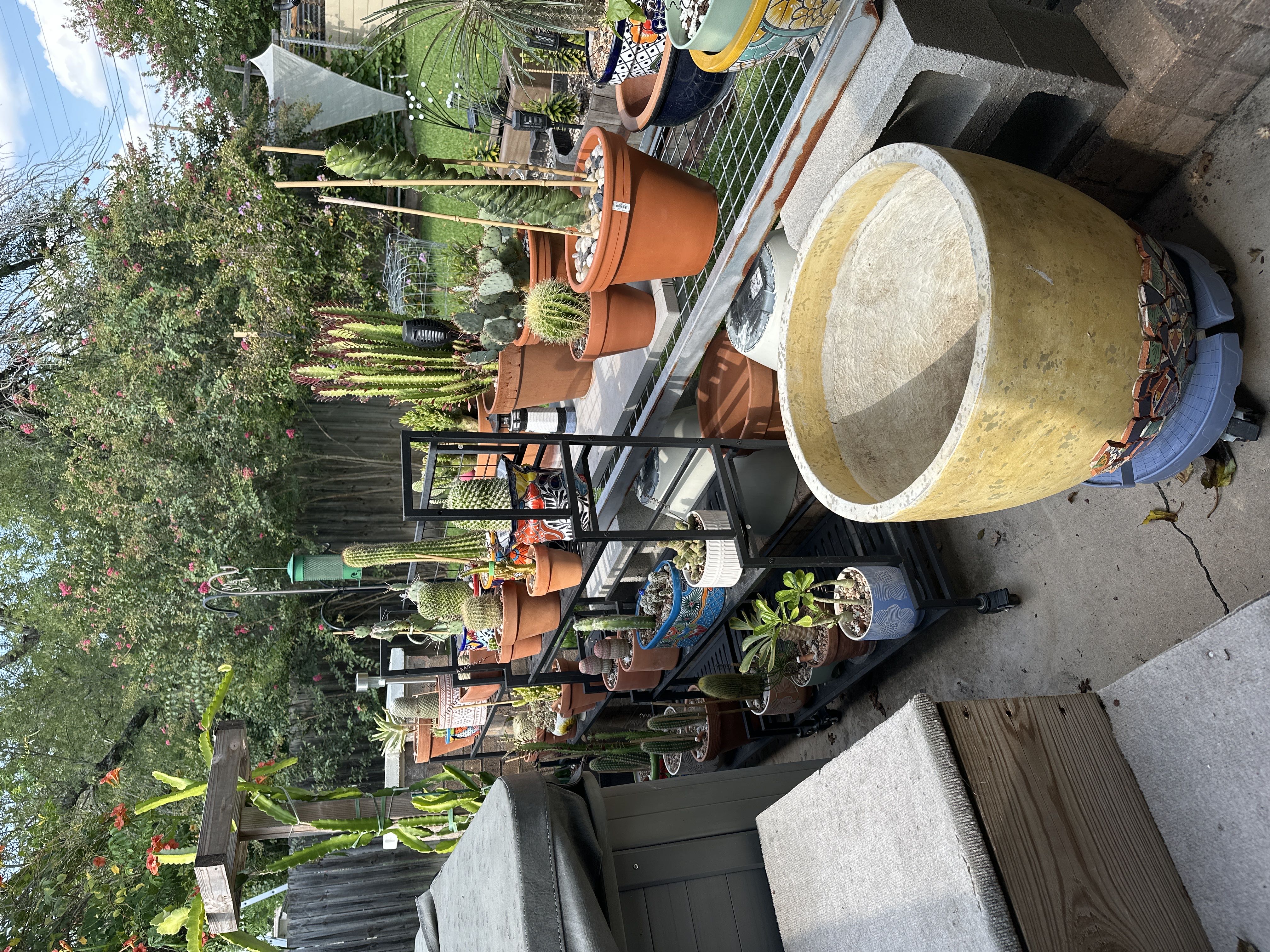 Photo from the post