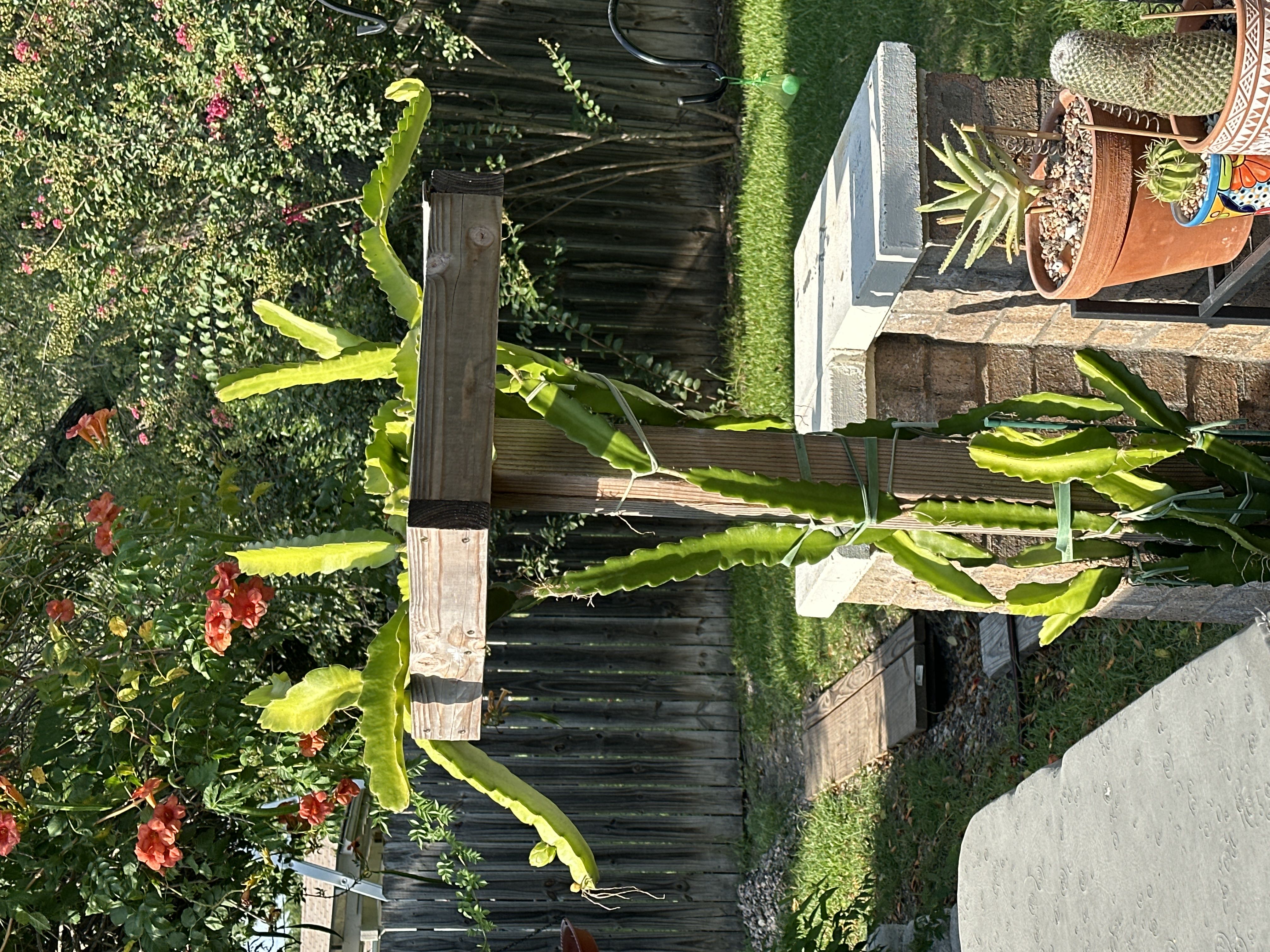 Photo from the post