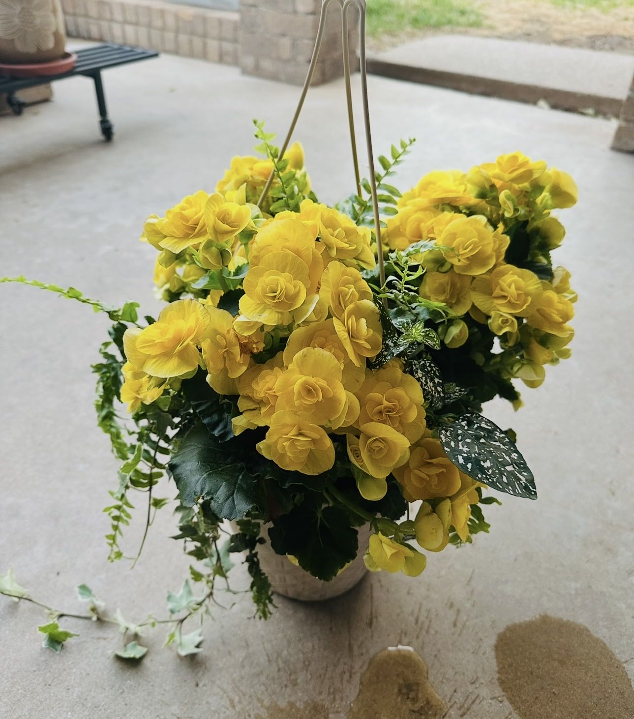 Photo from the post