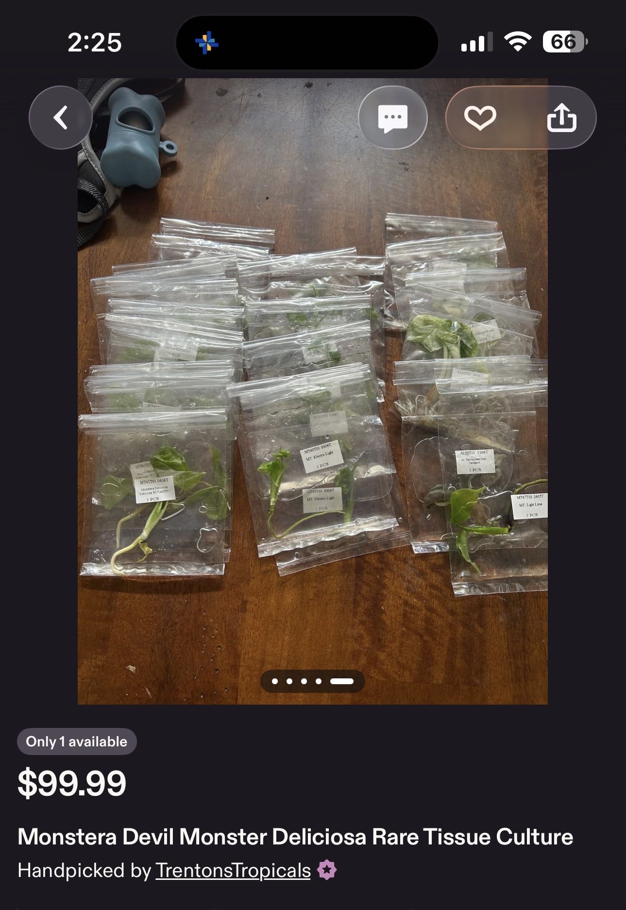 Photo from the post