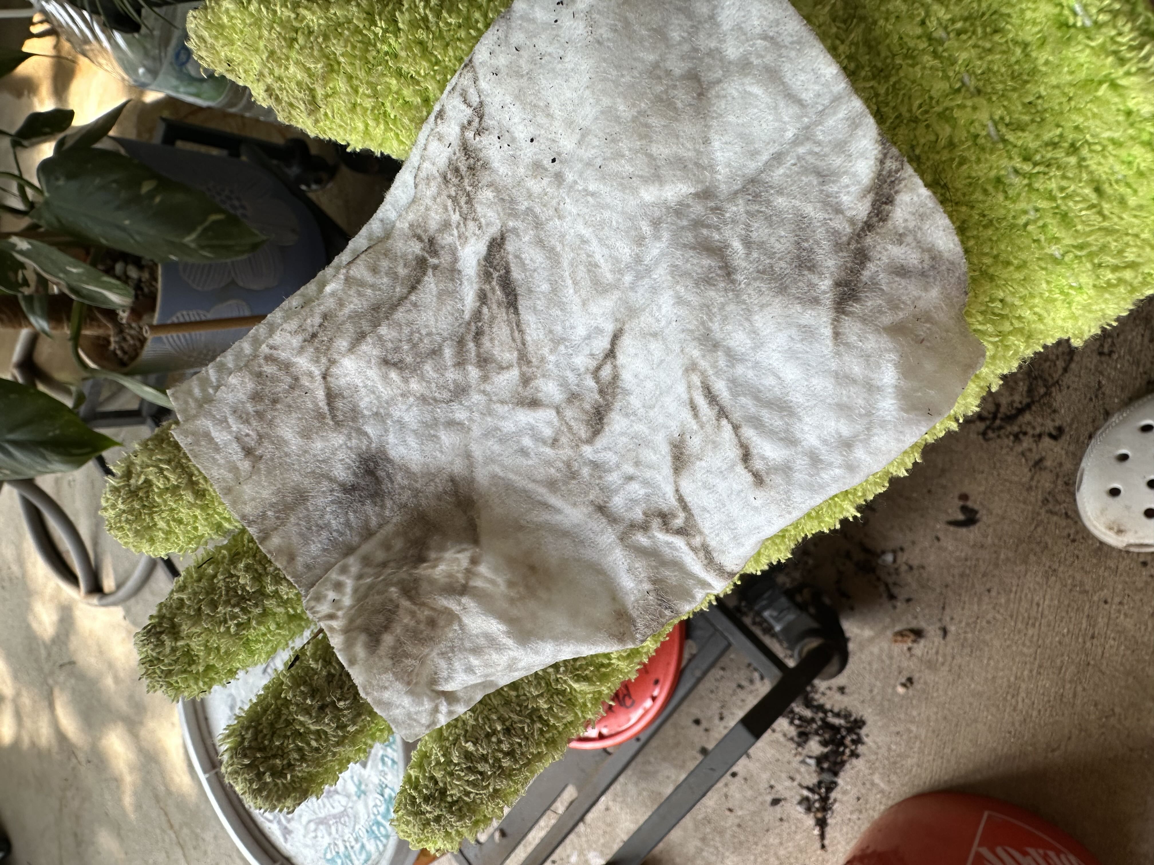 Photo from the post