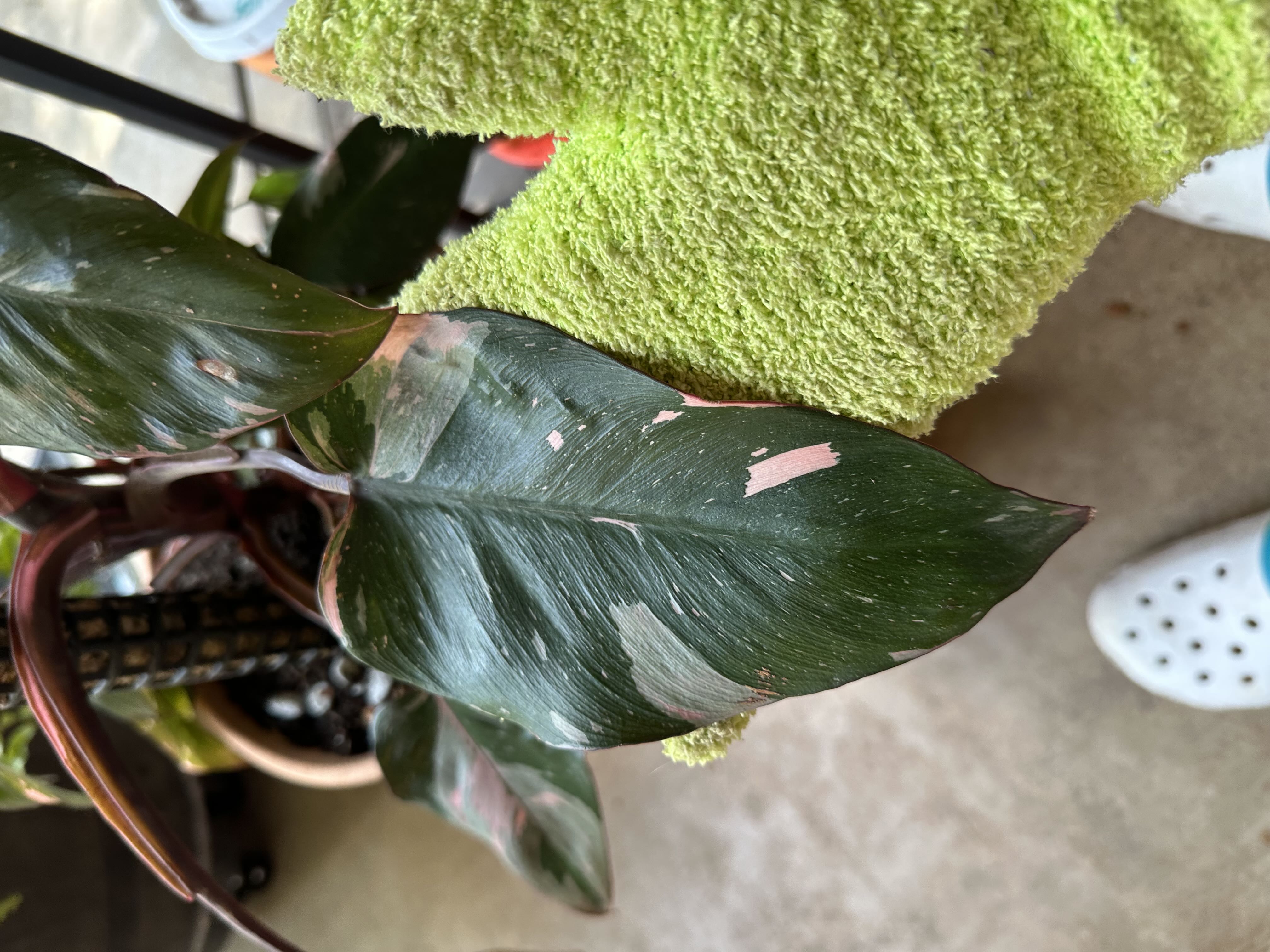 Photo from the post