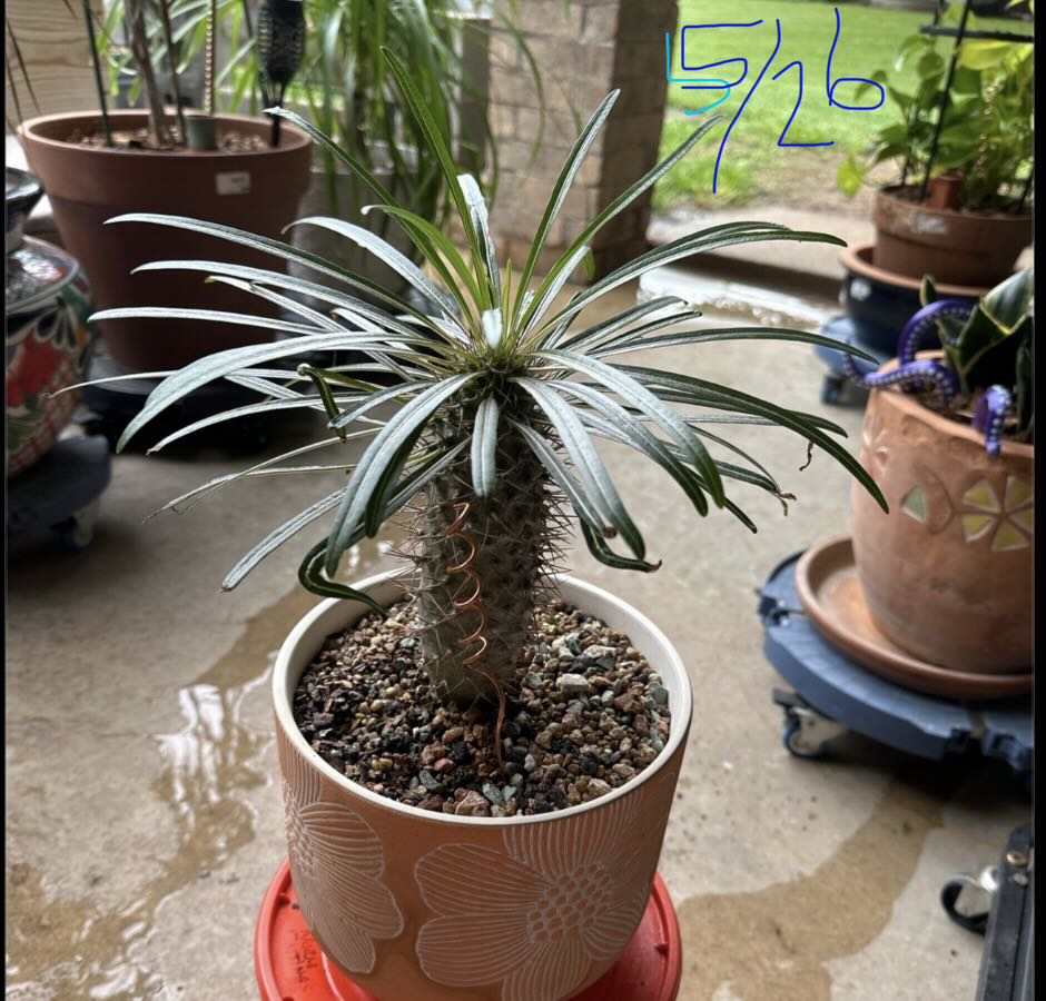 Photo from the post