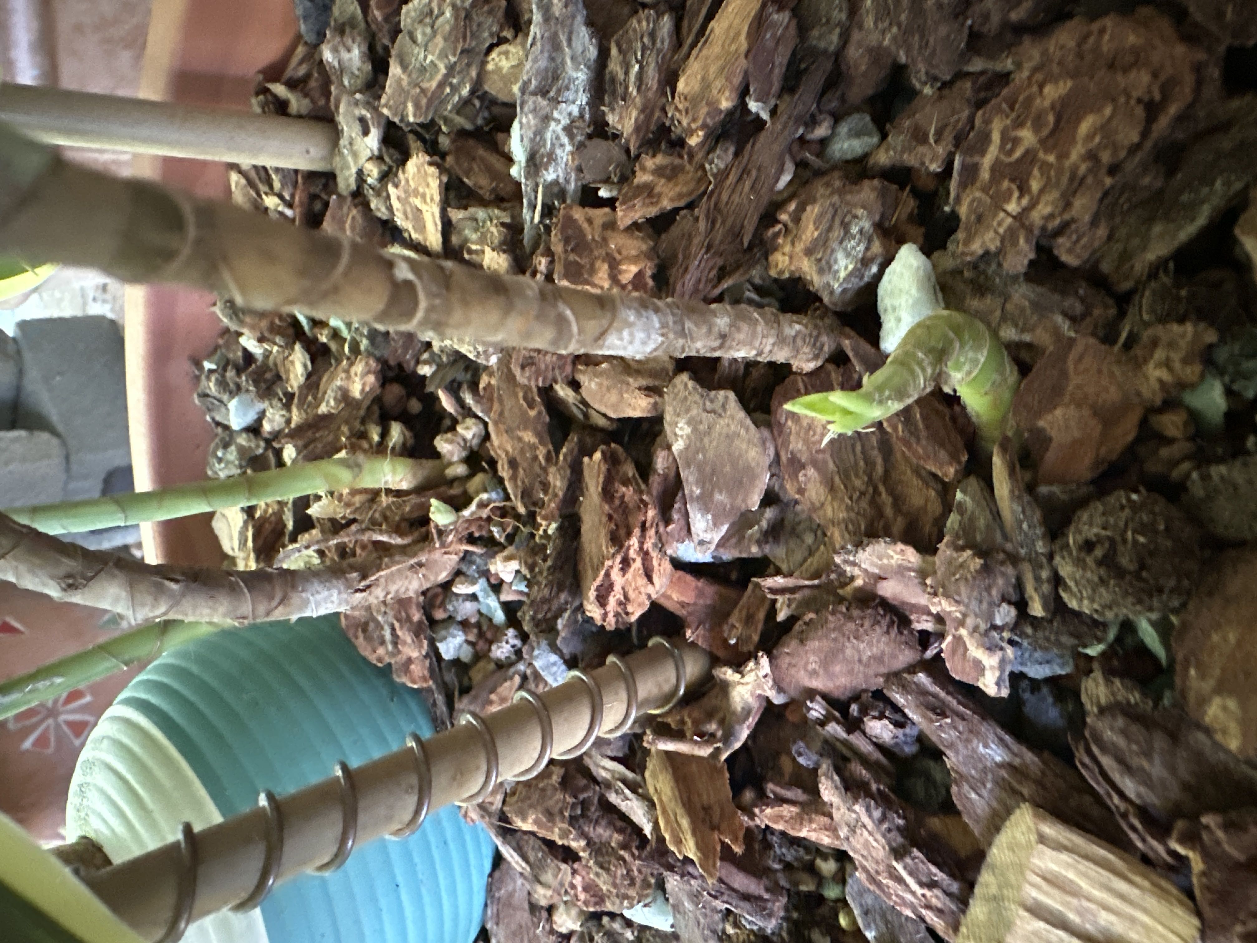 Photo from the post