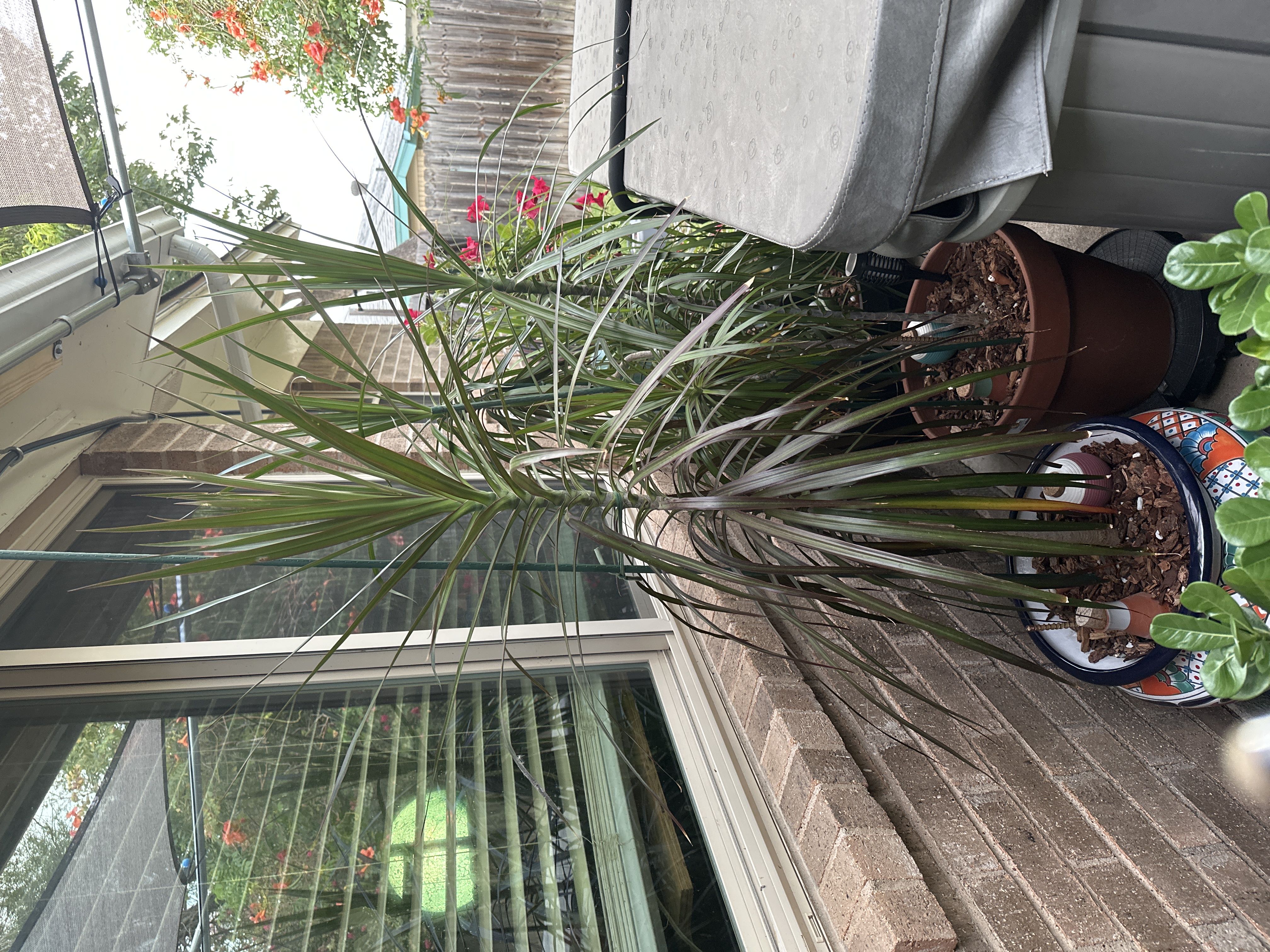 Photo from the post