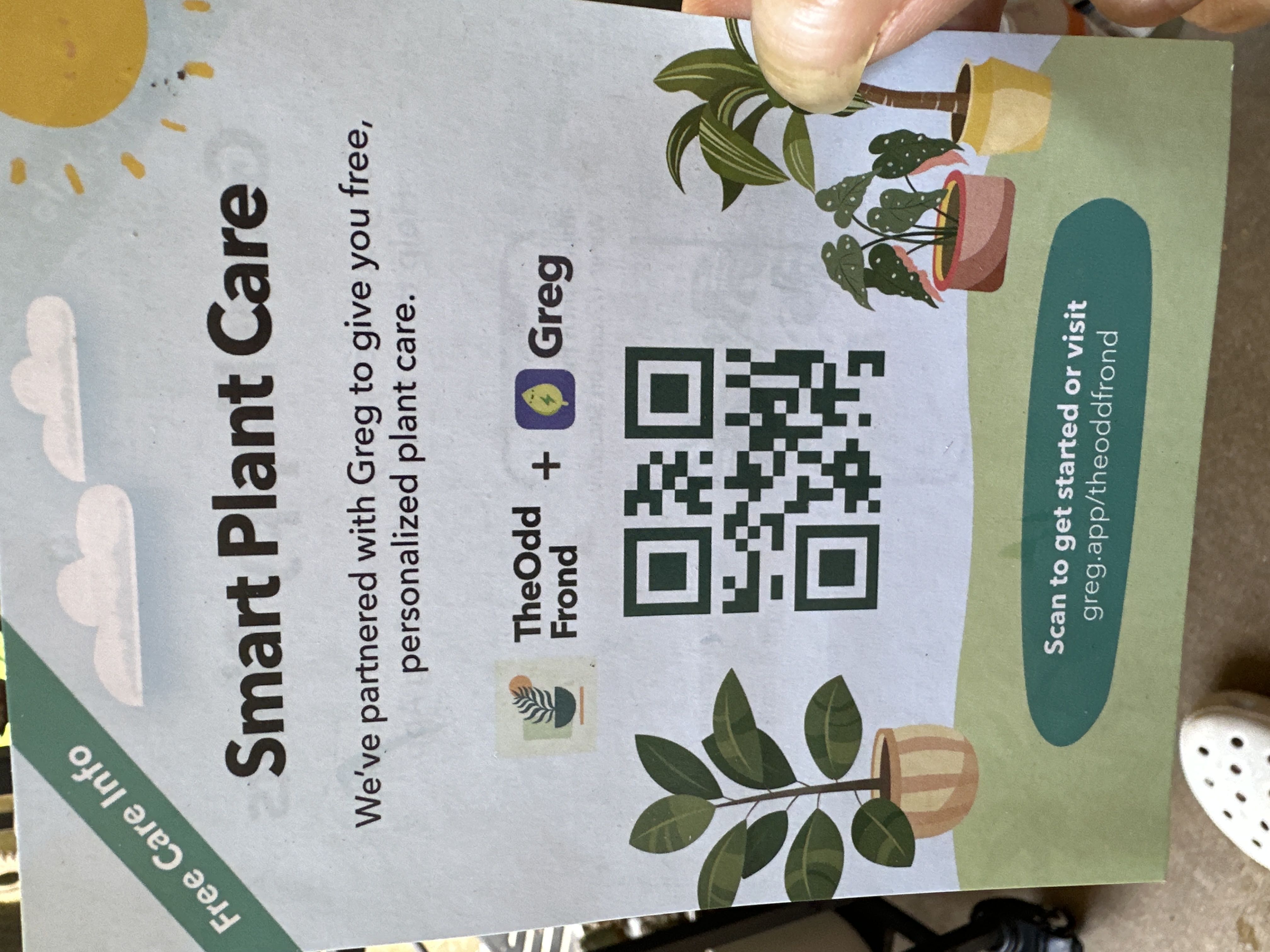 Photo from the post