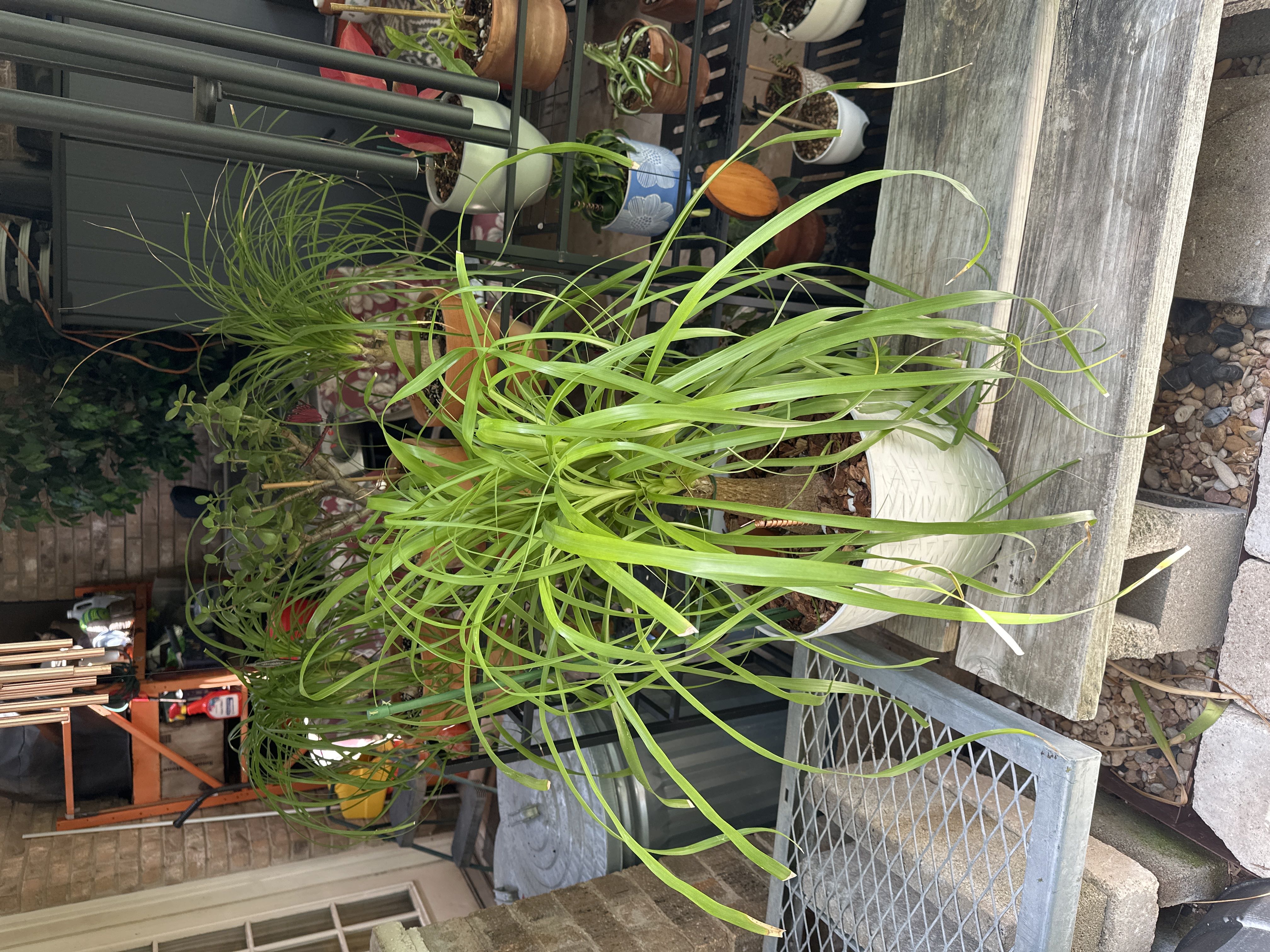 Photo from the post