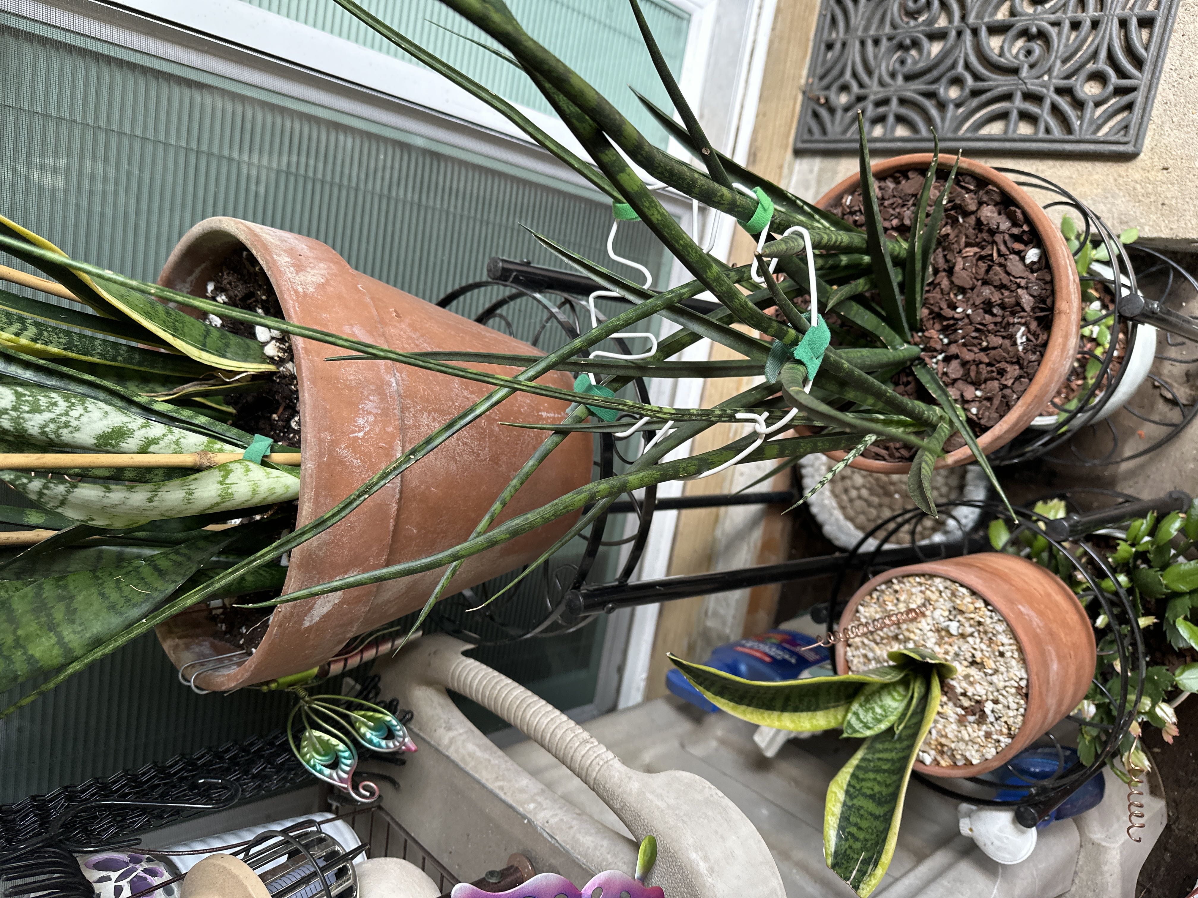 Photo from the post