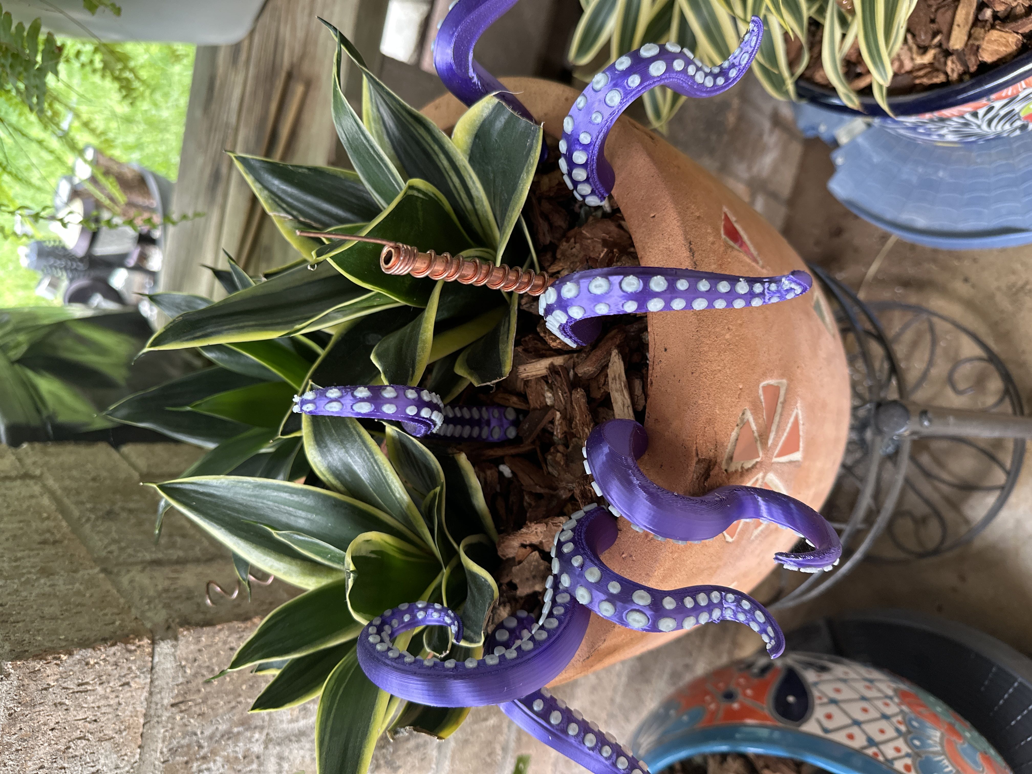 Photo from the post