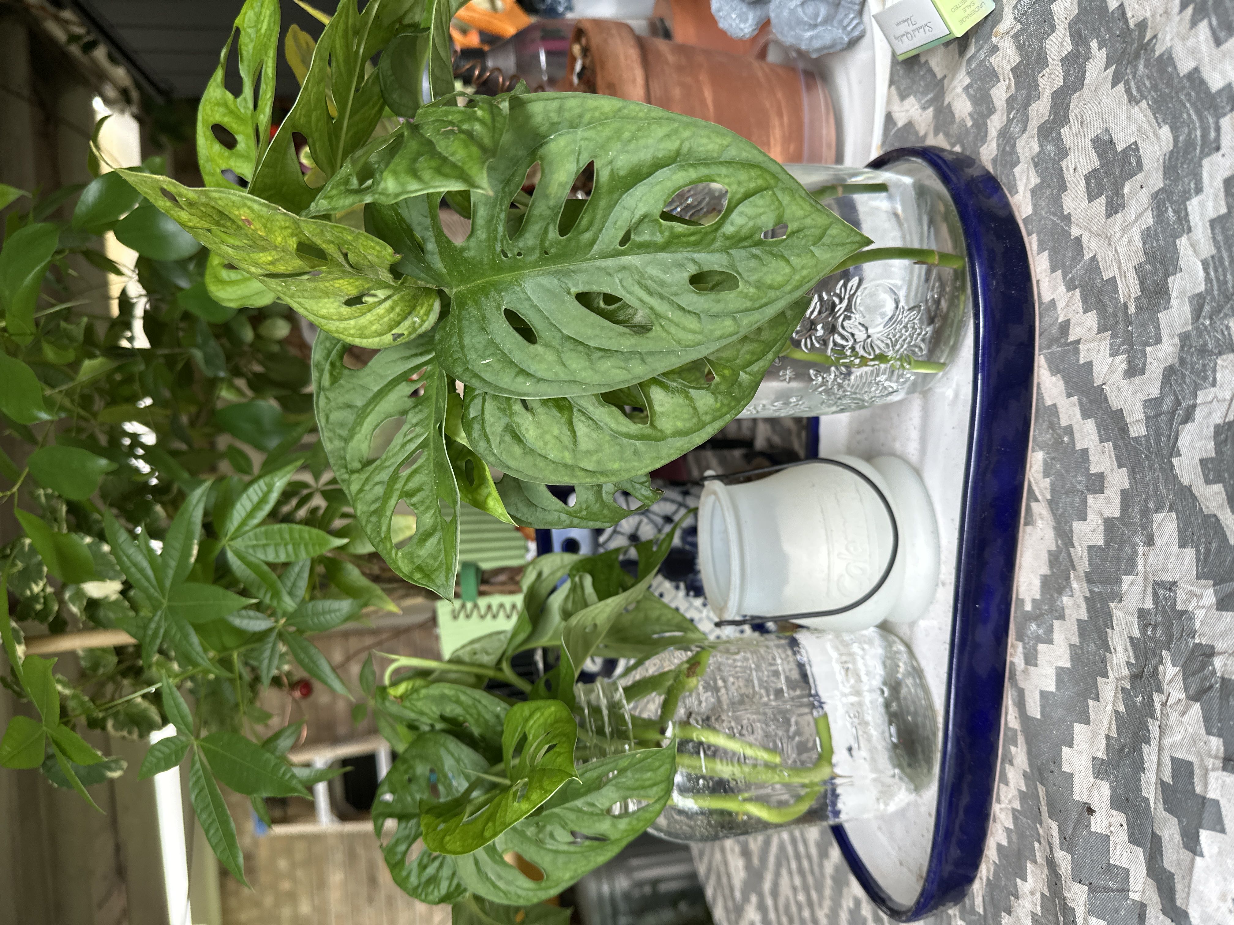 Photo from the post