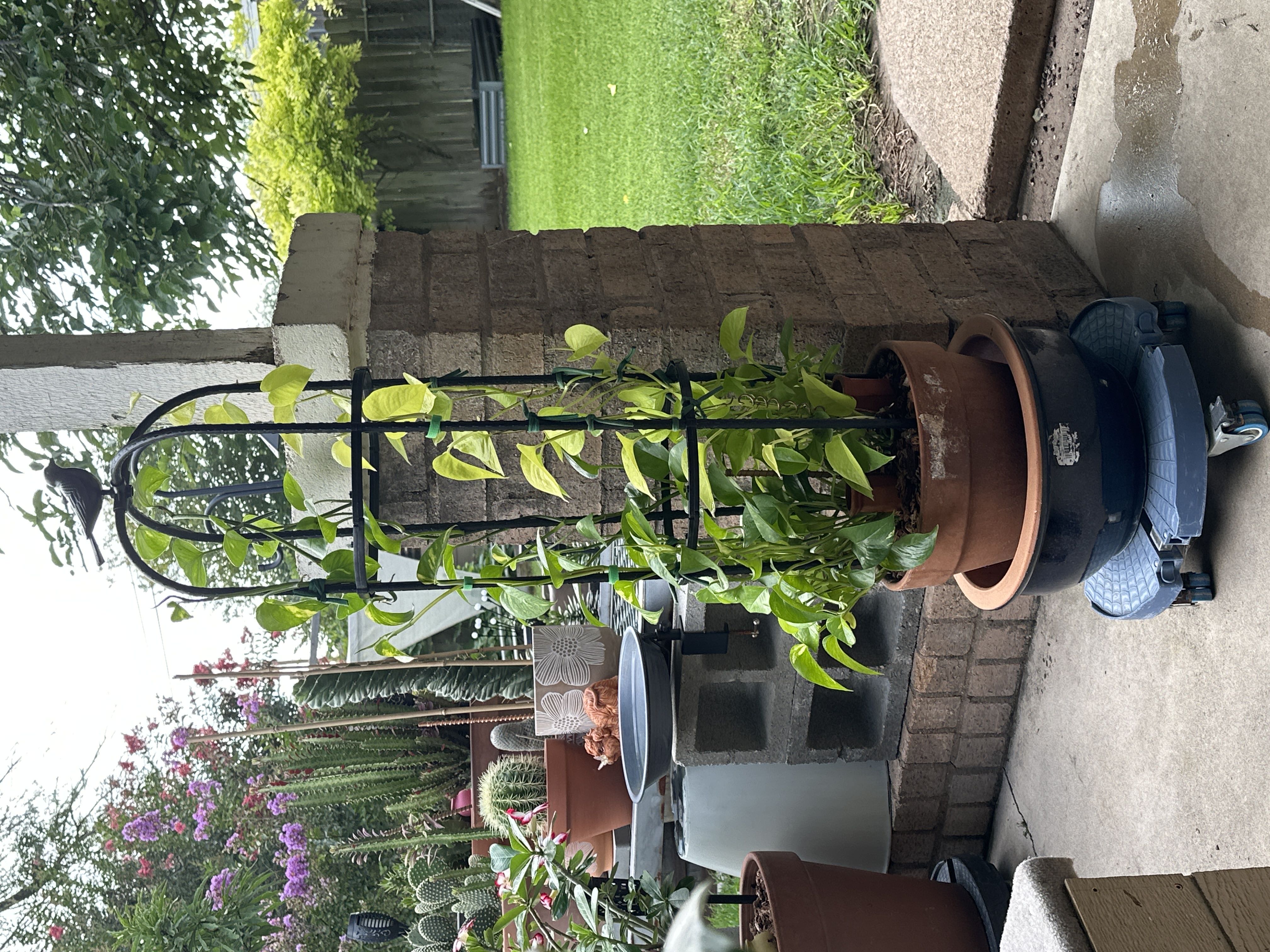 Photo from the post