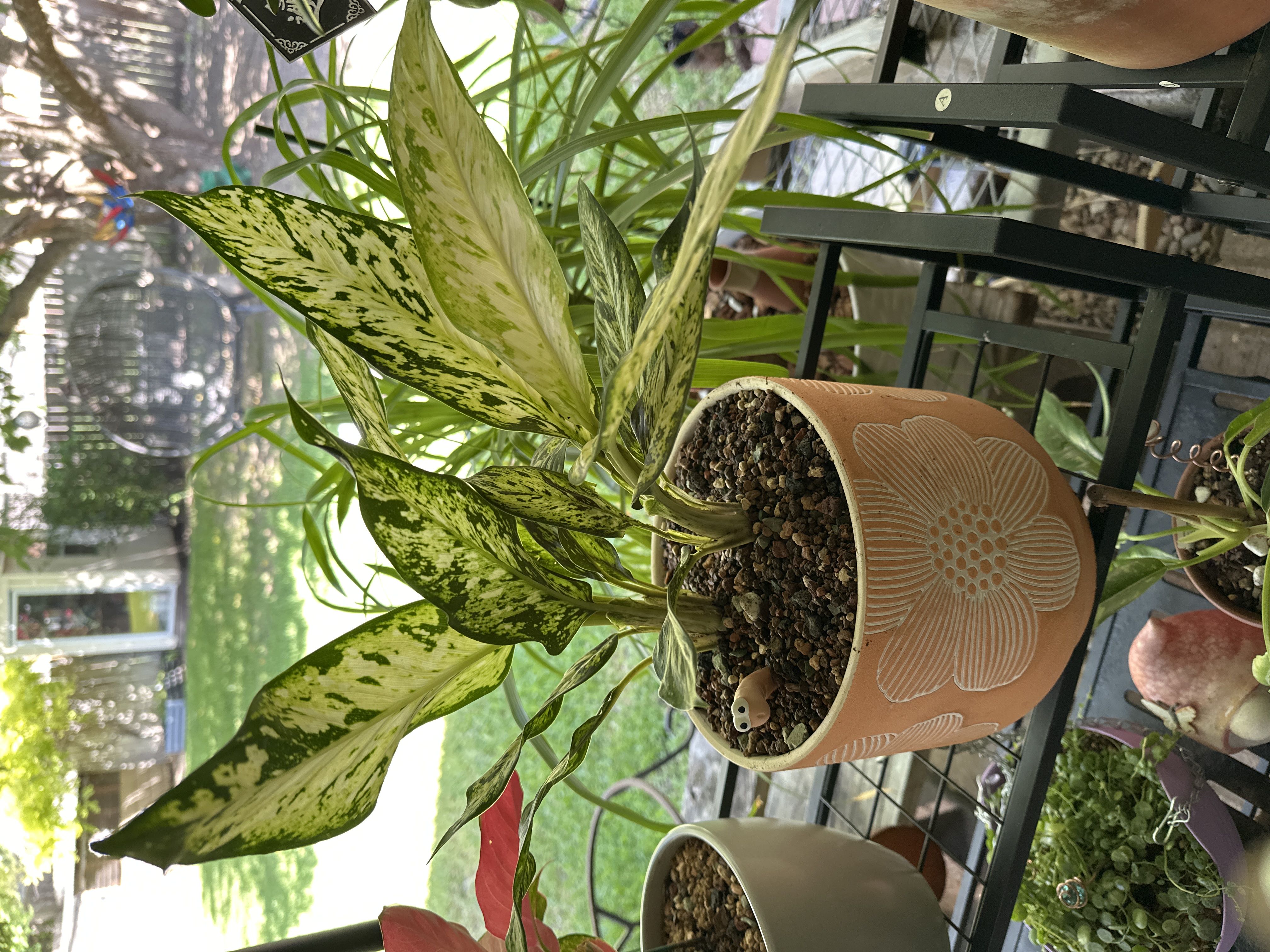 Photo from the post