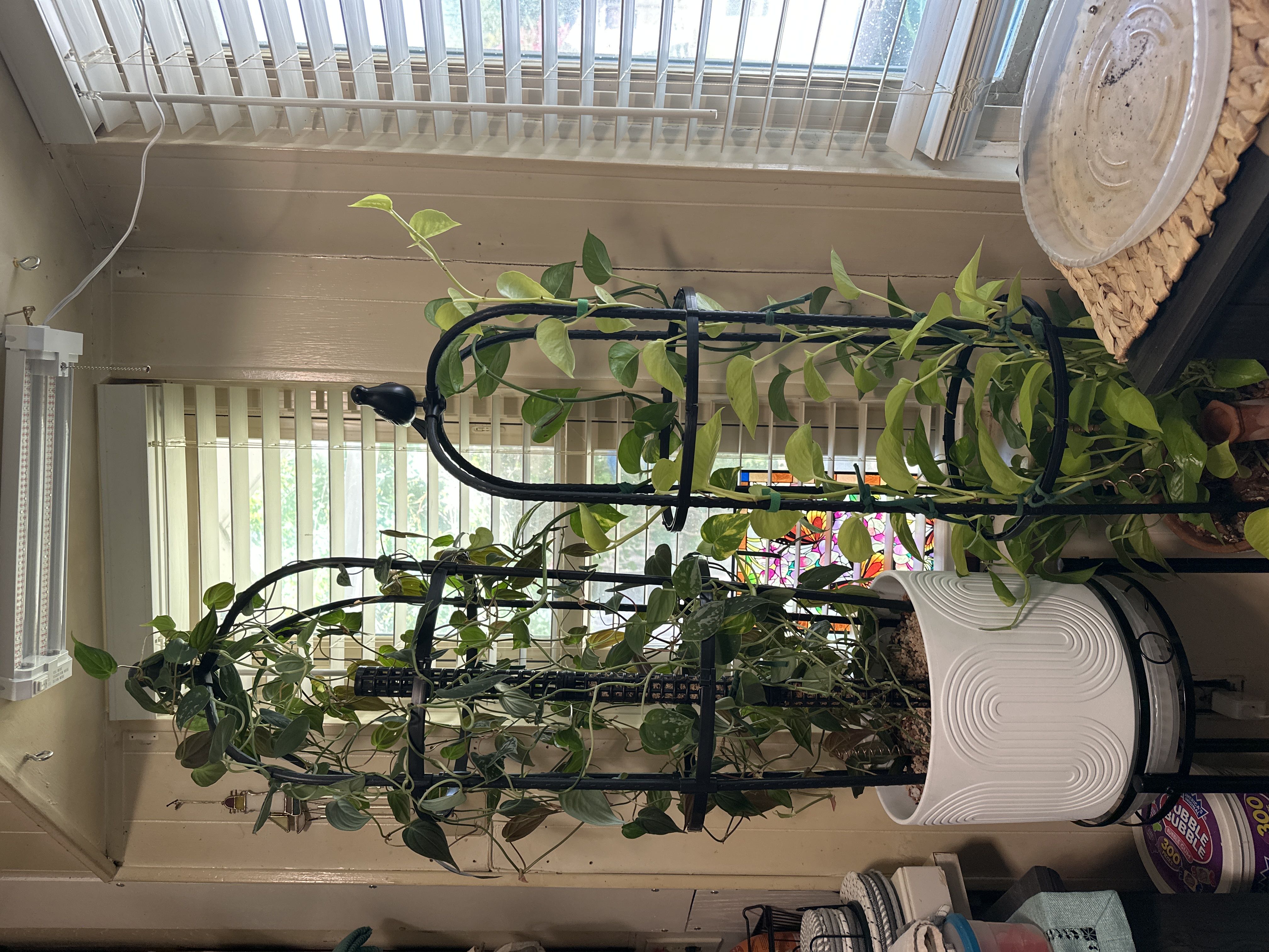 Photo from the post