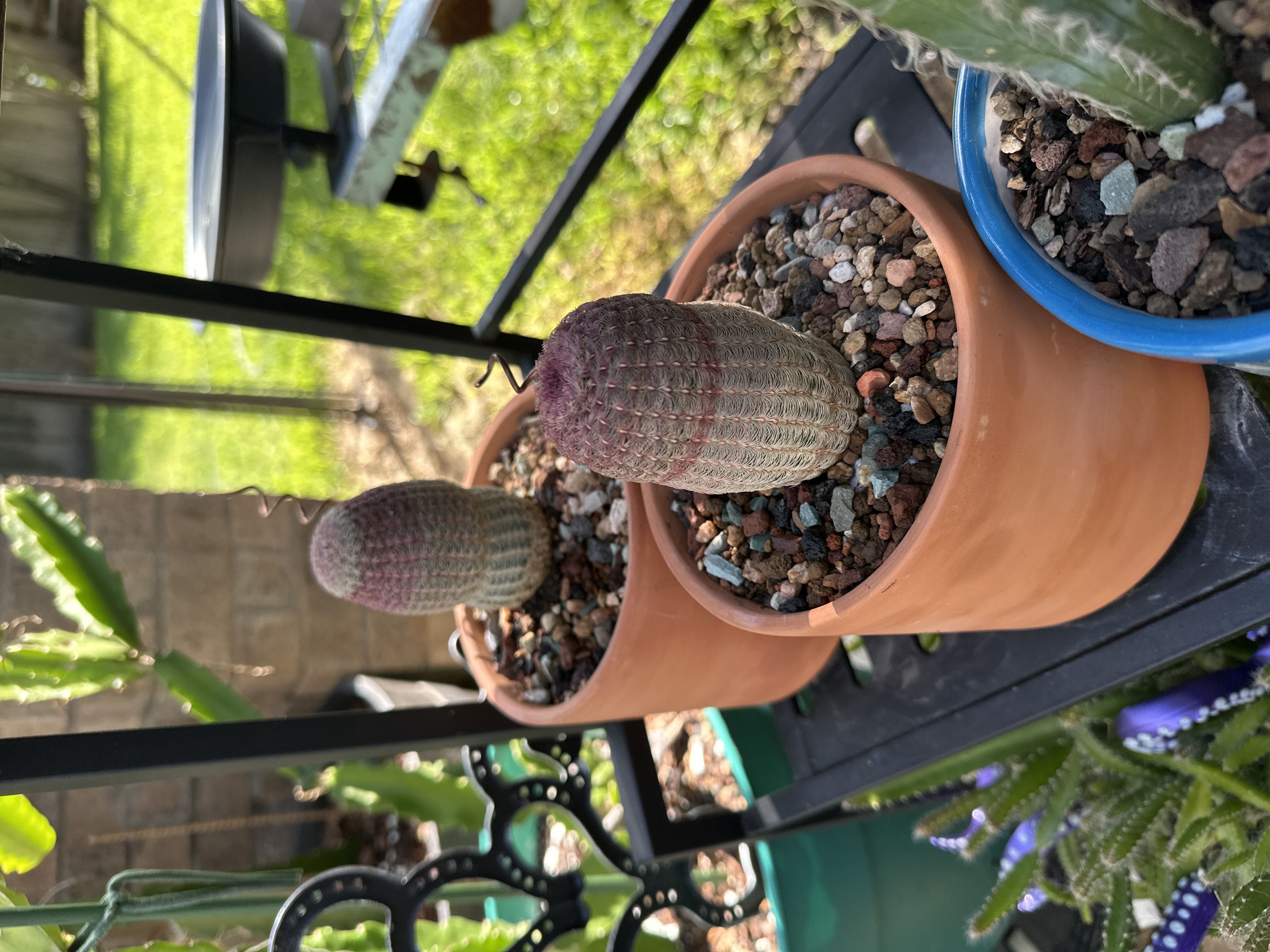 Photo from the post