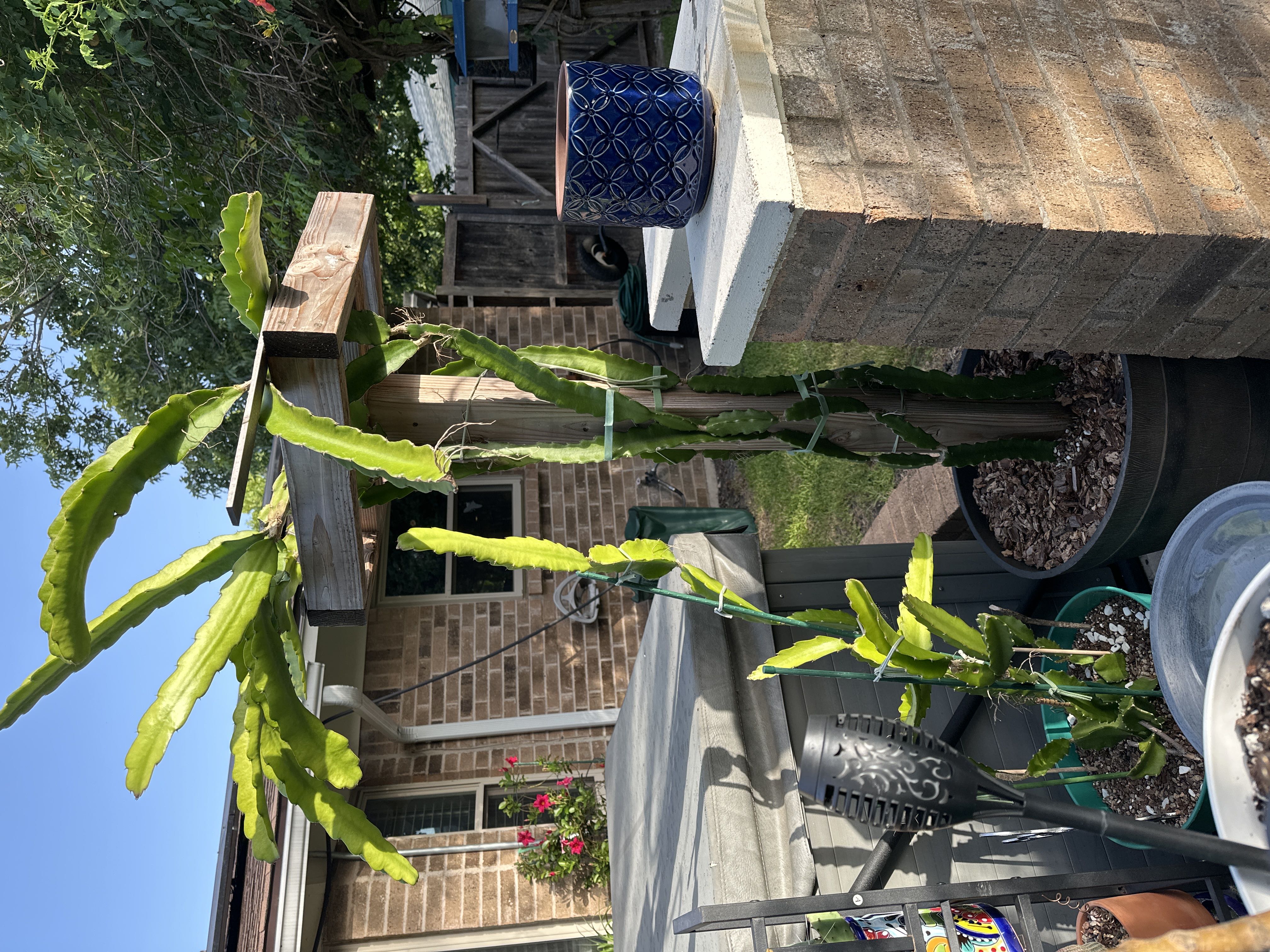 Photo from the post