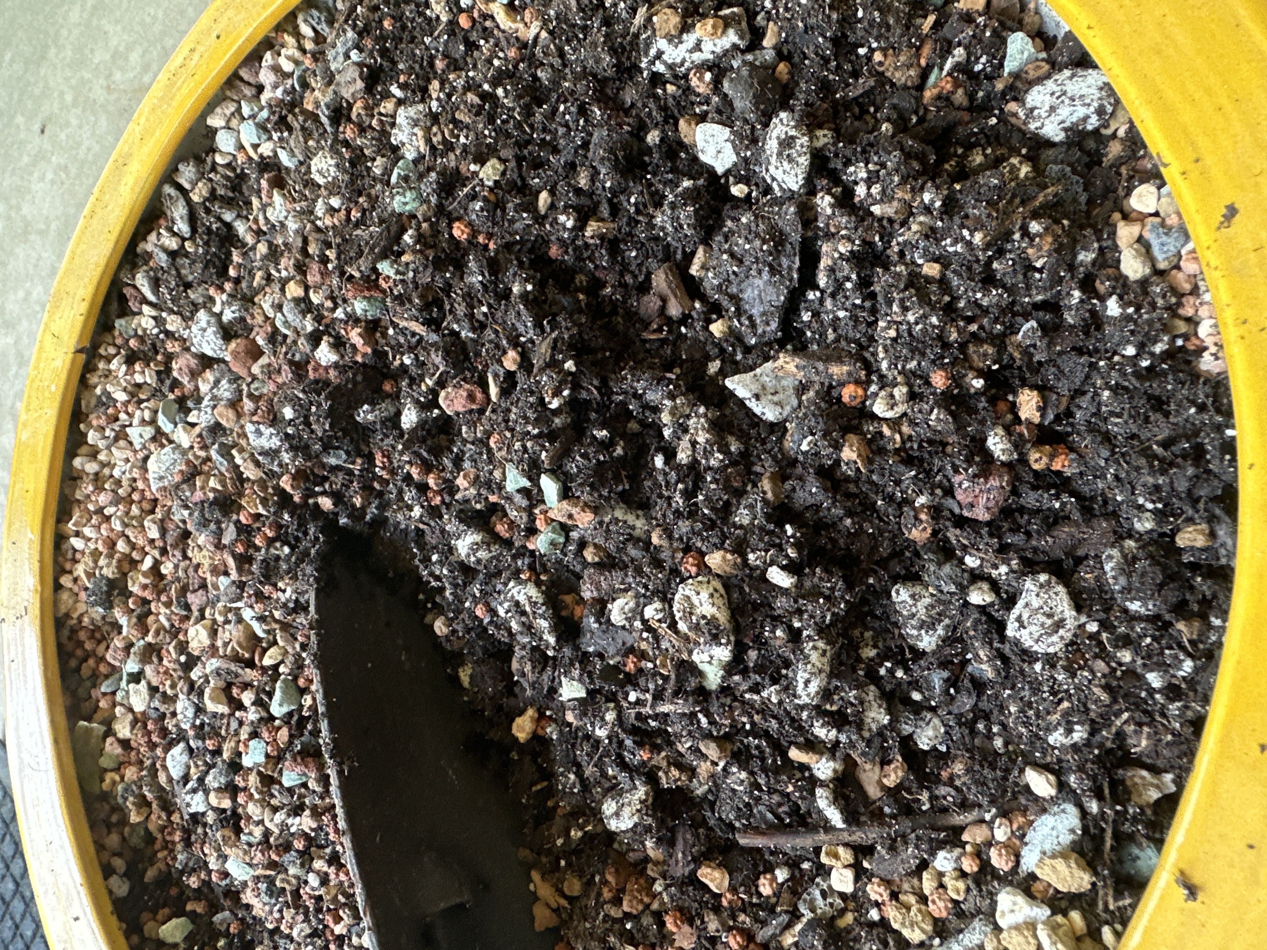 Photo from the post